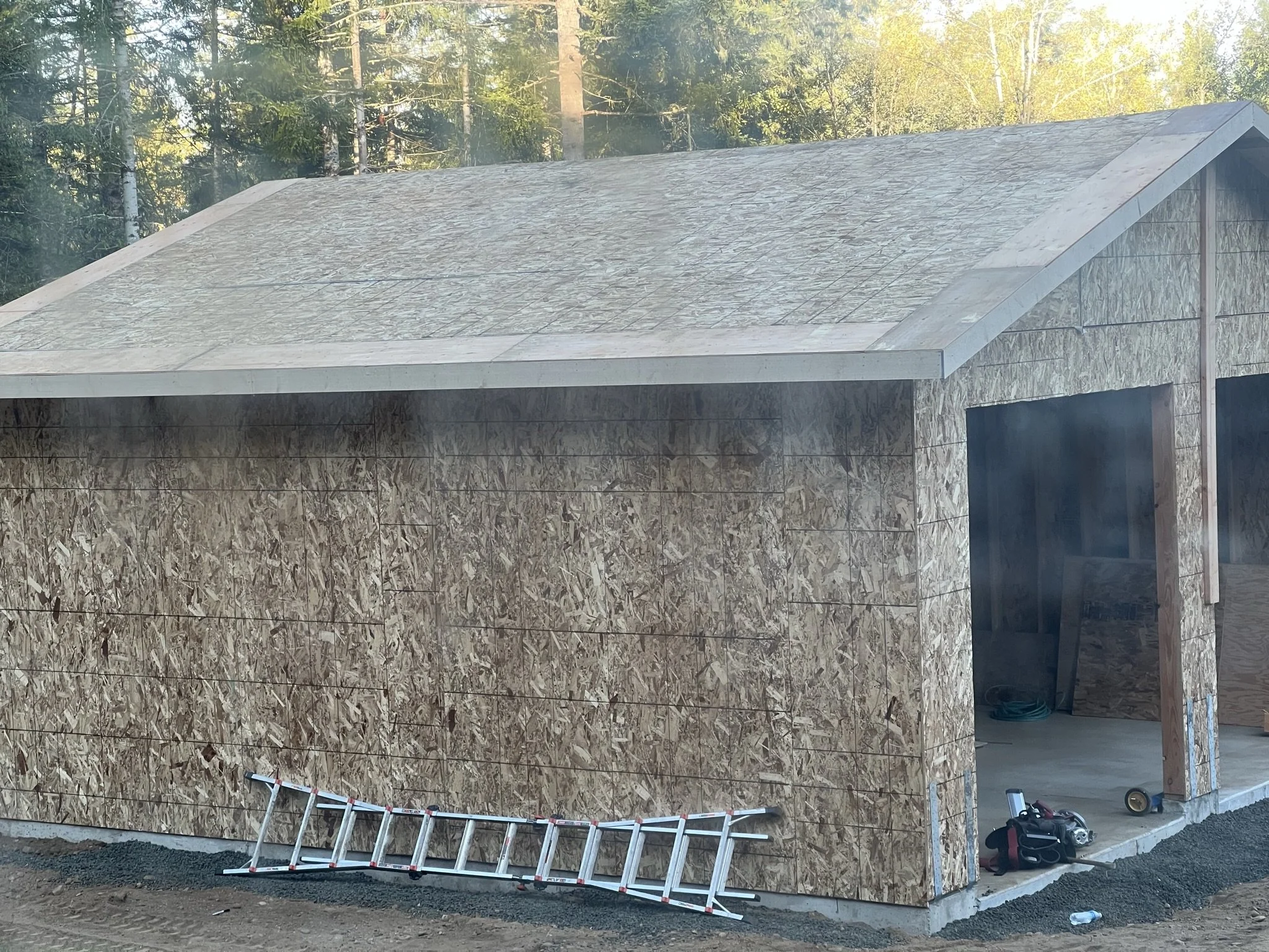 A small building under construction with OSB sheathing on the walls and roof. There is a ladder leaning against the wall in front and some tools on the ground near the open doorway. The background shows a wooded area with tall trees.