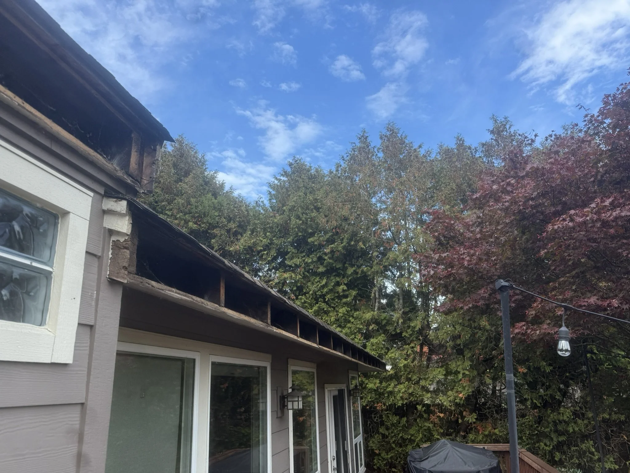 Backyard scene with house and trees, blue sky with clouds, and outdoor string lights.