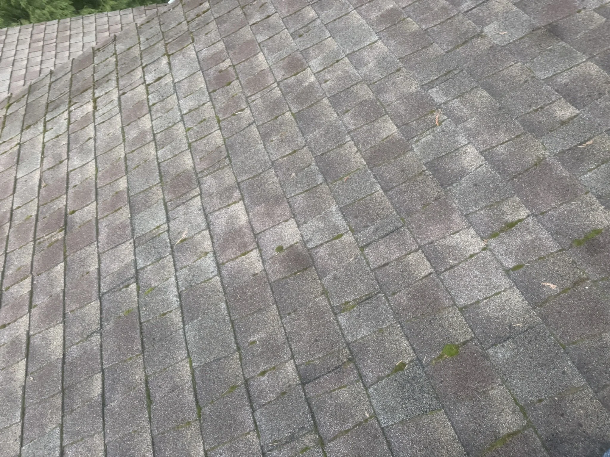 Roof Mildew Bainbridge Island Roof repair