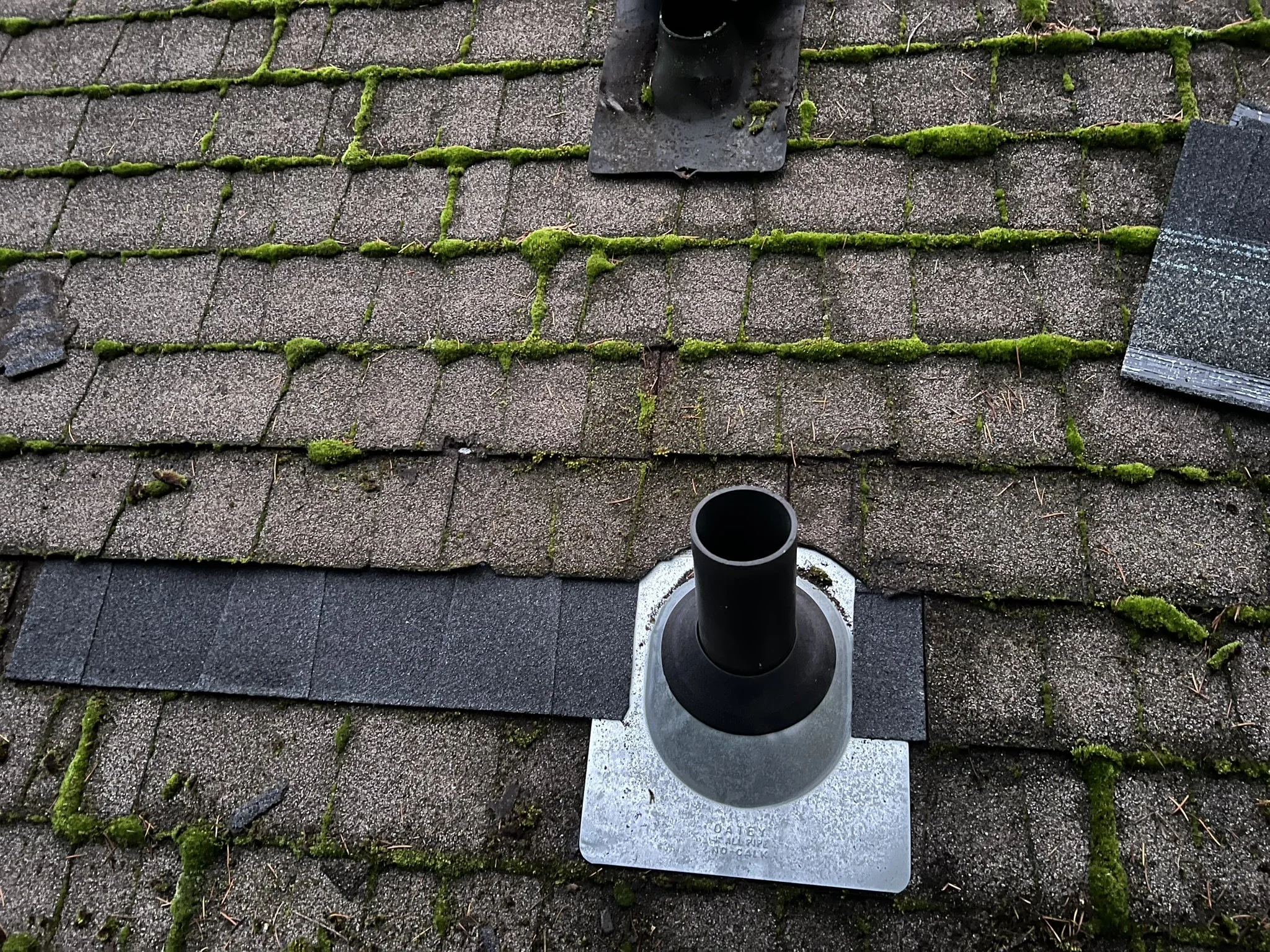 Roof shingles with green moss growth and a black vent pipe protruding through the shingles.