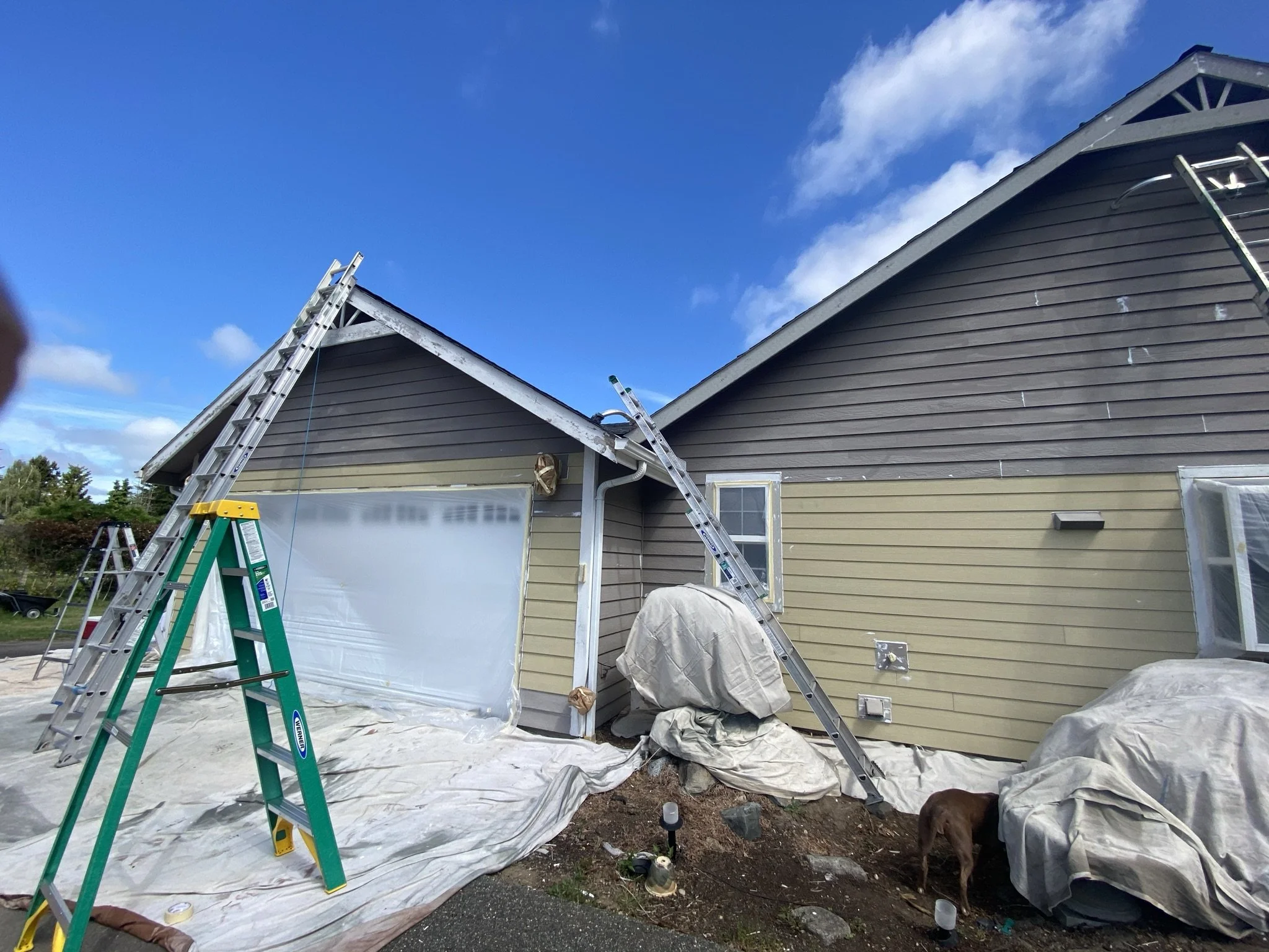 House undergoing exterior paint or repair work with ladders and covered items, dog near rubble, and blue sky with clouds in the background.