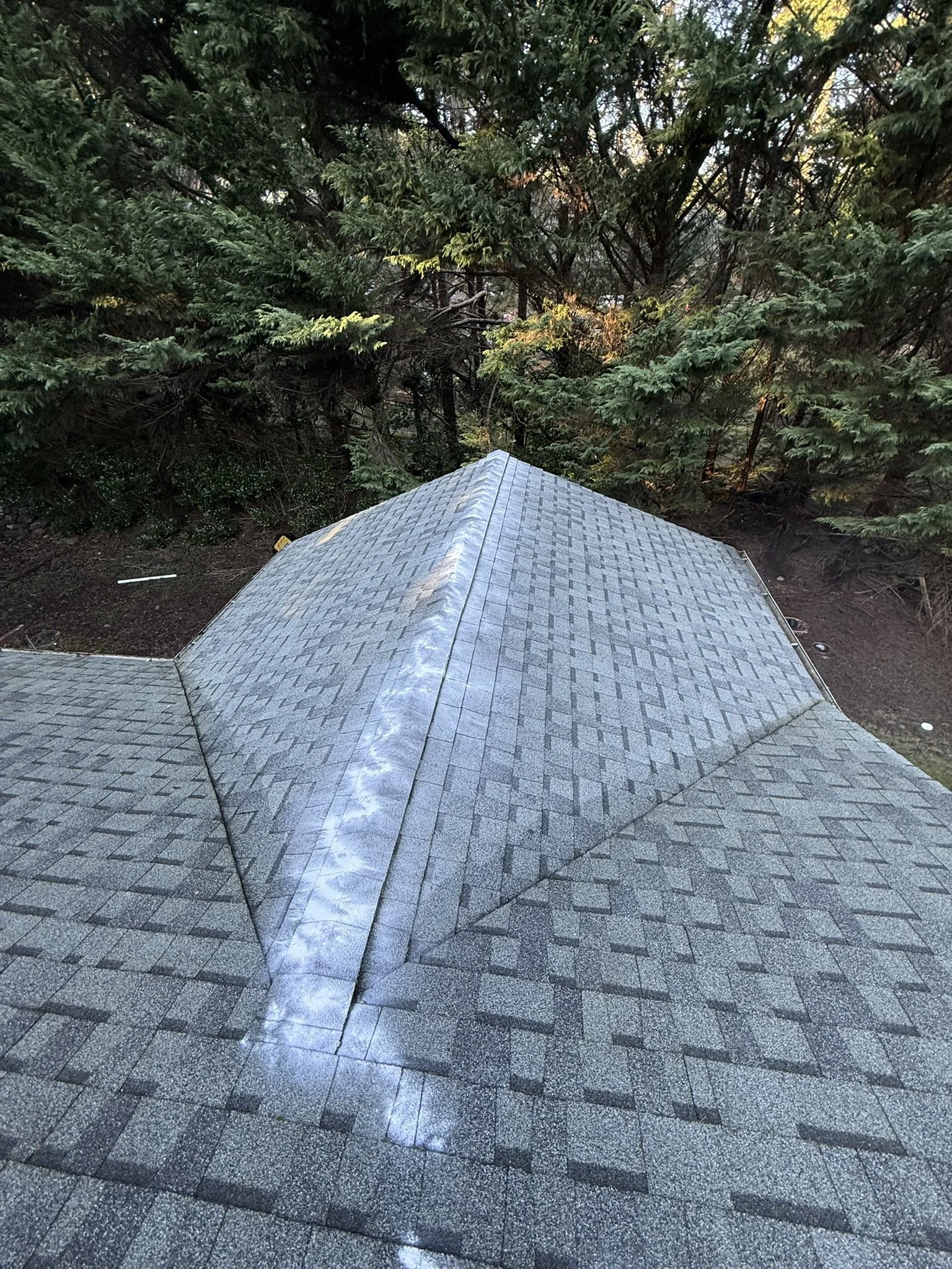 View of a shingled roof from above, with a ridge vent and surrounding tall evergreen trees.