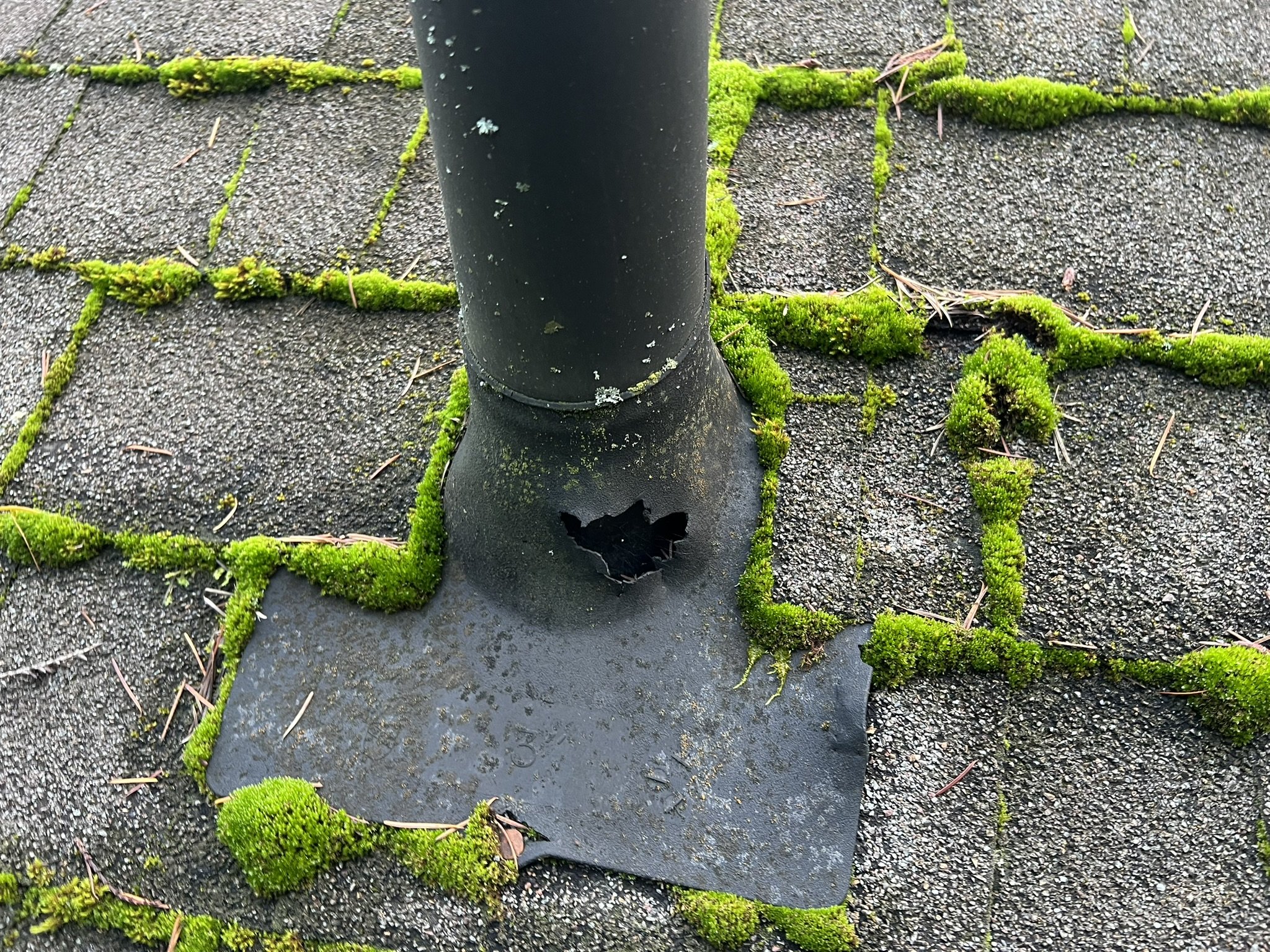 Close-up image of a damaged black metal pole on a roof with moss and small leaves growing between the shingles.