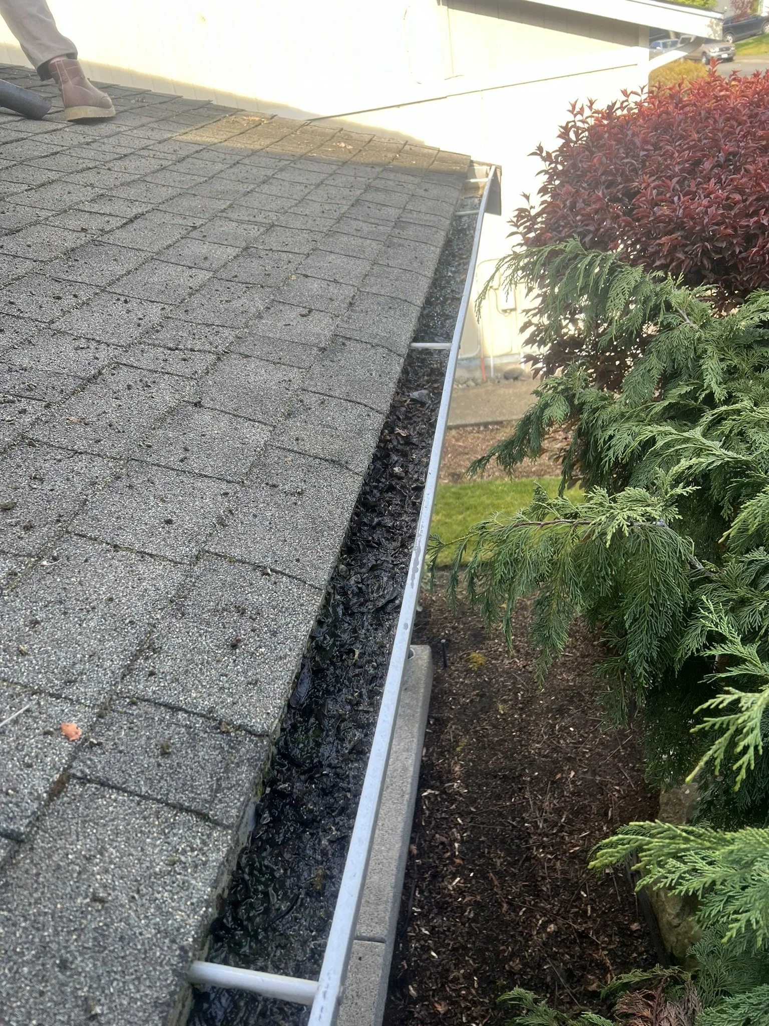 Close-up of the edge of a roof with asphalt shingles, showing gutter installation work with black sealant and gutters, next to green bushes and flowering plants.