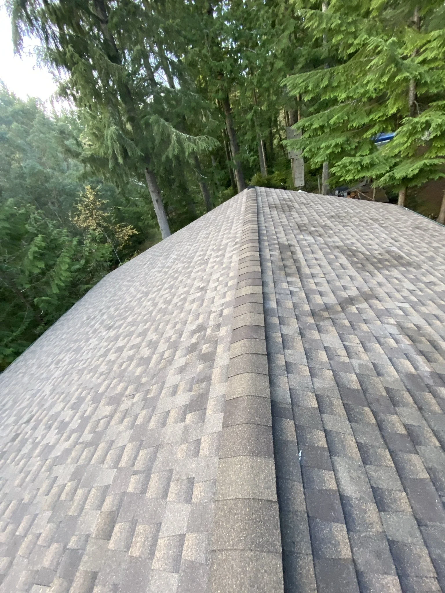 View of a sloped shingle roof from above, with green trees in the background.