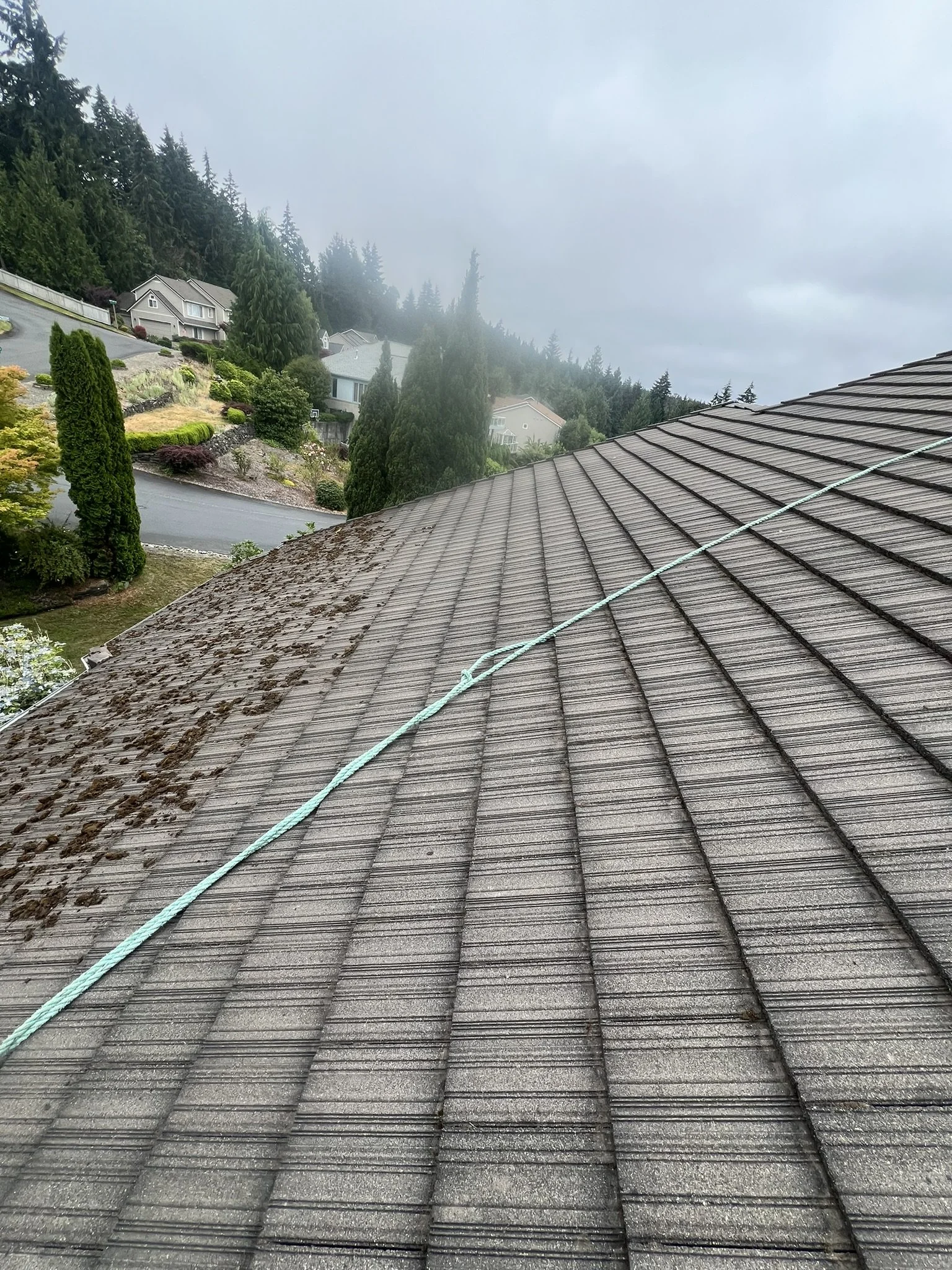 A house roof with moss and dirt accumulation, surrounded by trees and other houses in a suburban neighborhood on a cloudy day.
