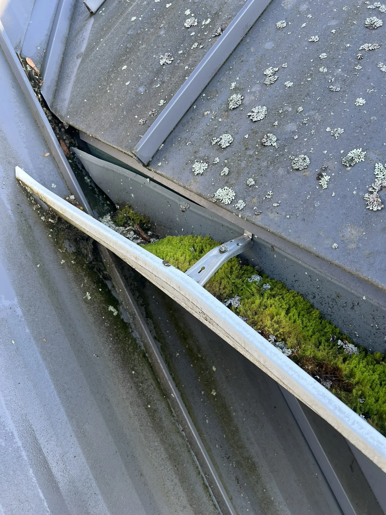 Close-up of a rooftop air conditioning unit with moss and lichen growing on the metal parts, and a damaged or displaced metal panel.