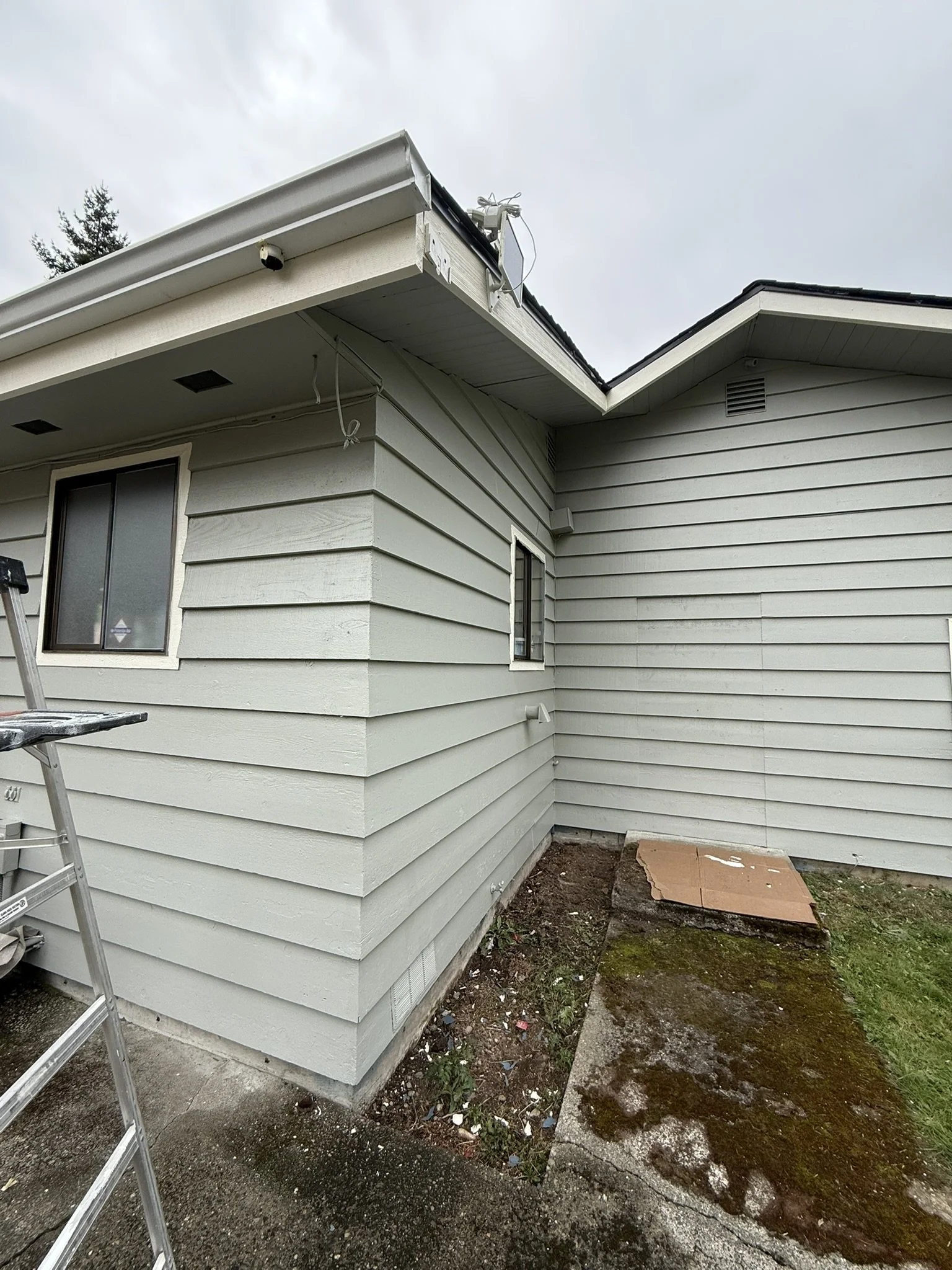Exterior of a house with light green horizontal siding, a small window, and a section with gutter work under repair, with a ladder and a cardboard piece on the ground.