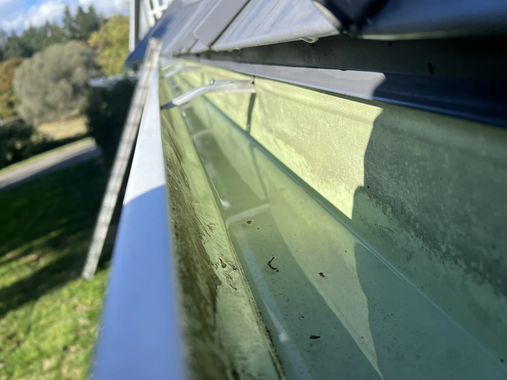 Close-up view inside a rain gutter showing some dirt and debris, with a blurred background of trees and grass.