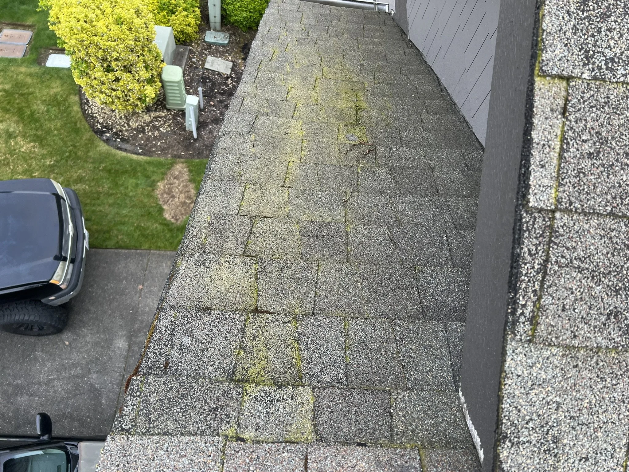 View of a rooftop with weathered asphalt shingles showing moss and dirt, next to a house wall. Below, there's a driveway with a parked truck, a grassy area, bushes, and outdoor utility boxes.