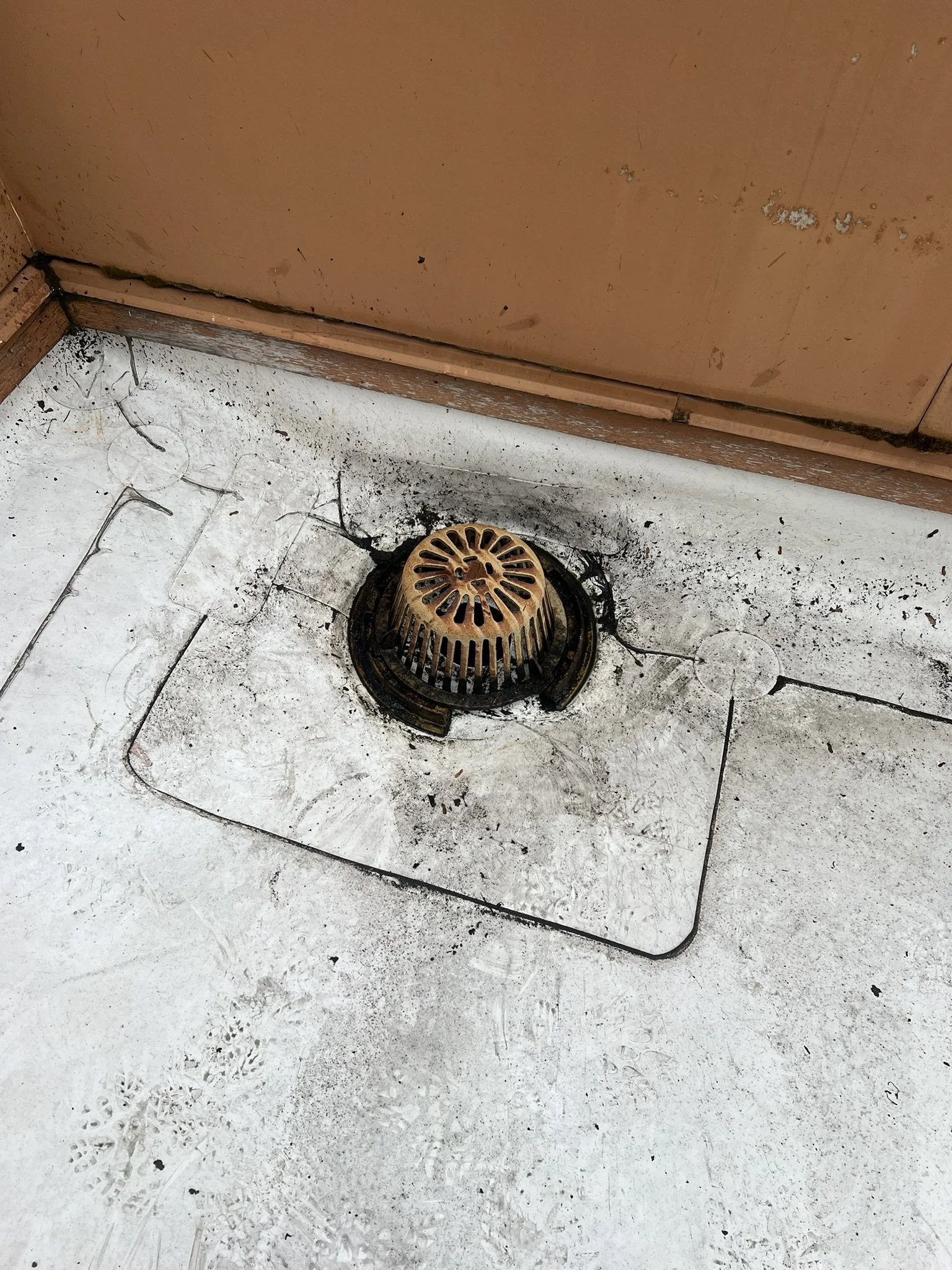Dirty floor drain with black grime and debris around it, situated near a wooden door.