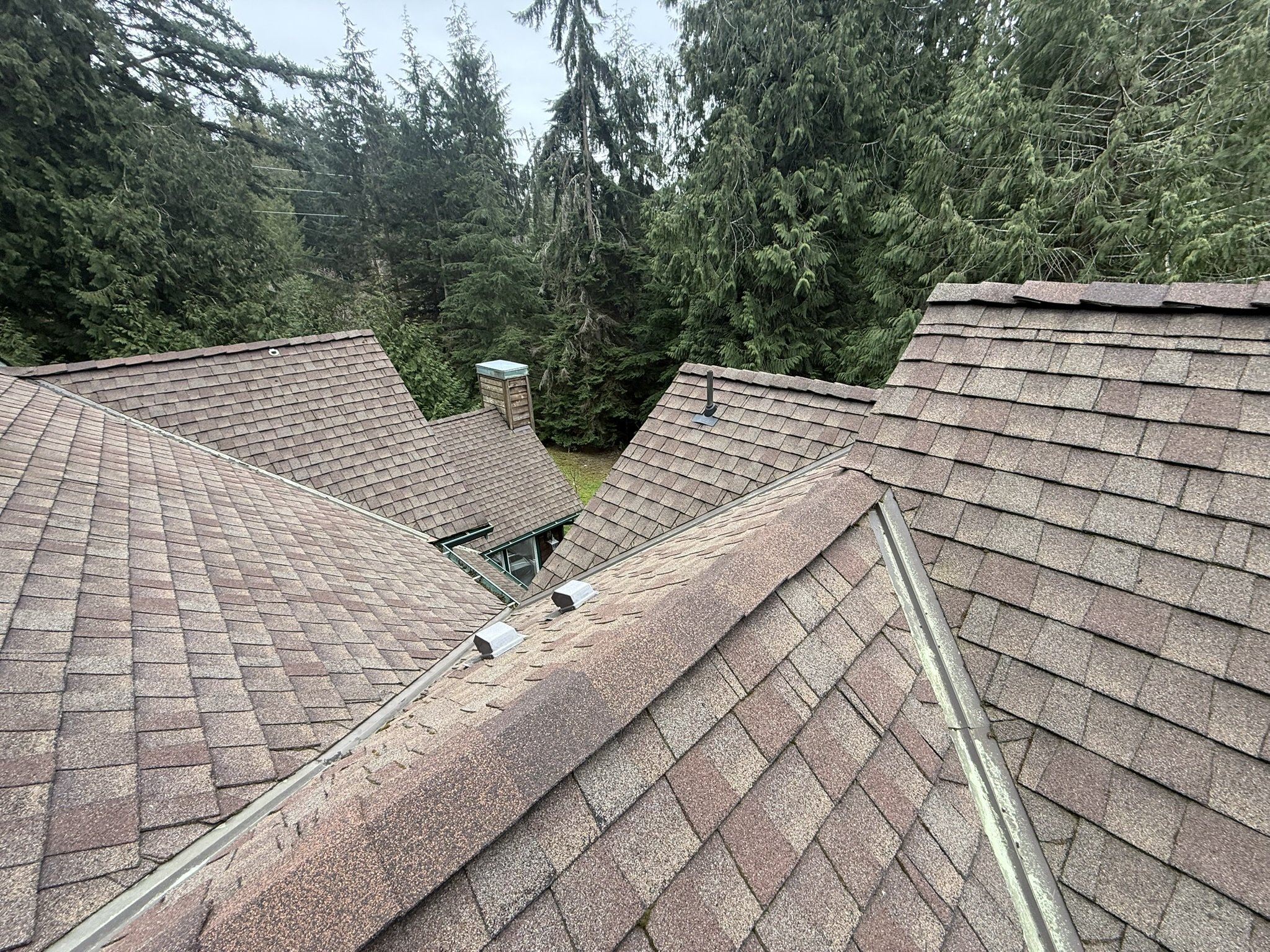 Roof Maintenance Gig Harbor 