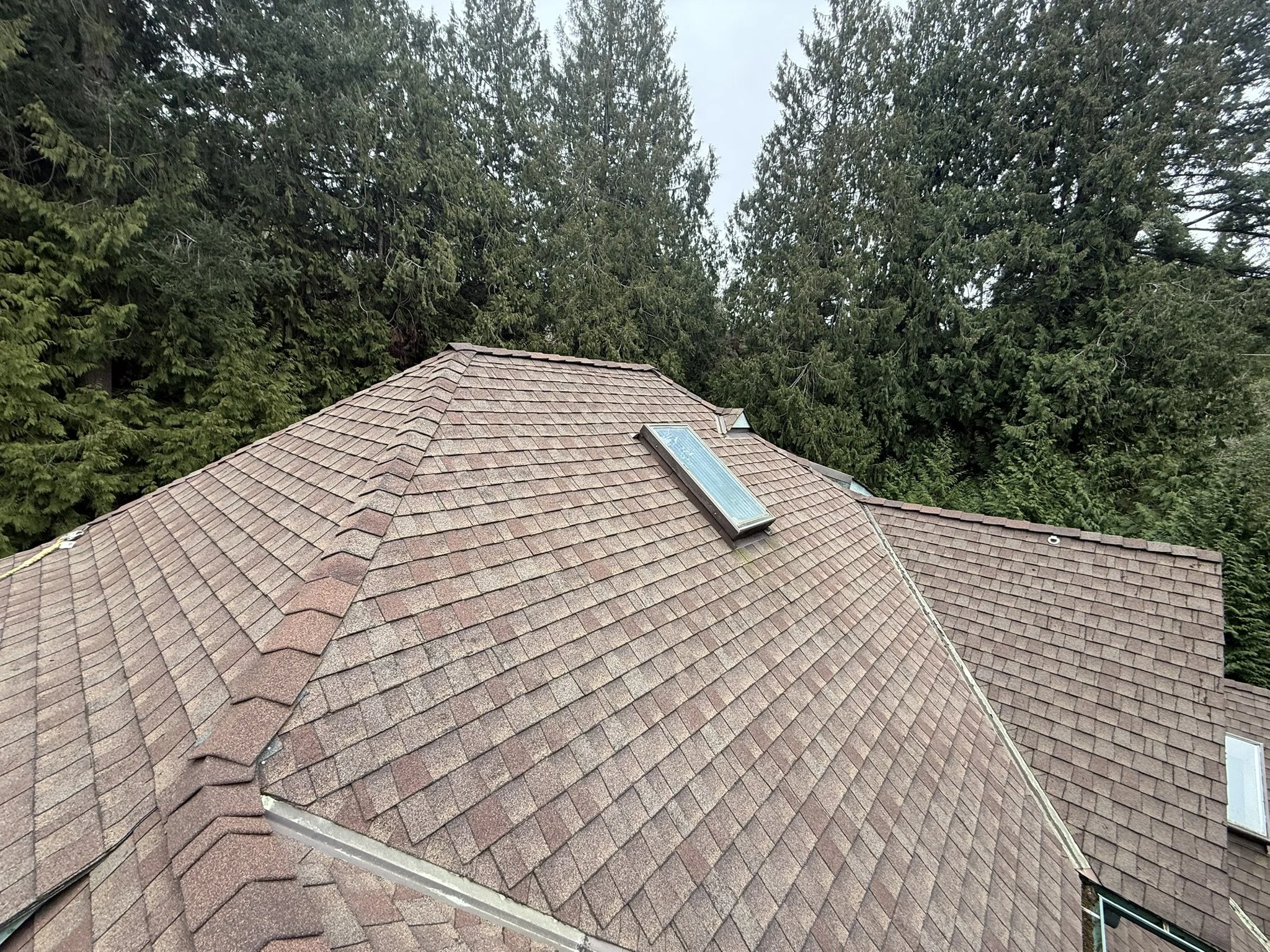 Roof maintenance Gig Harbor 