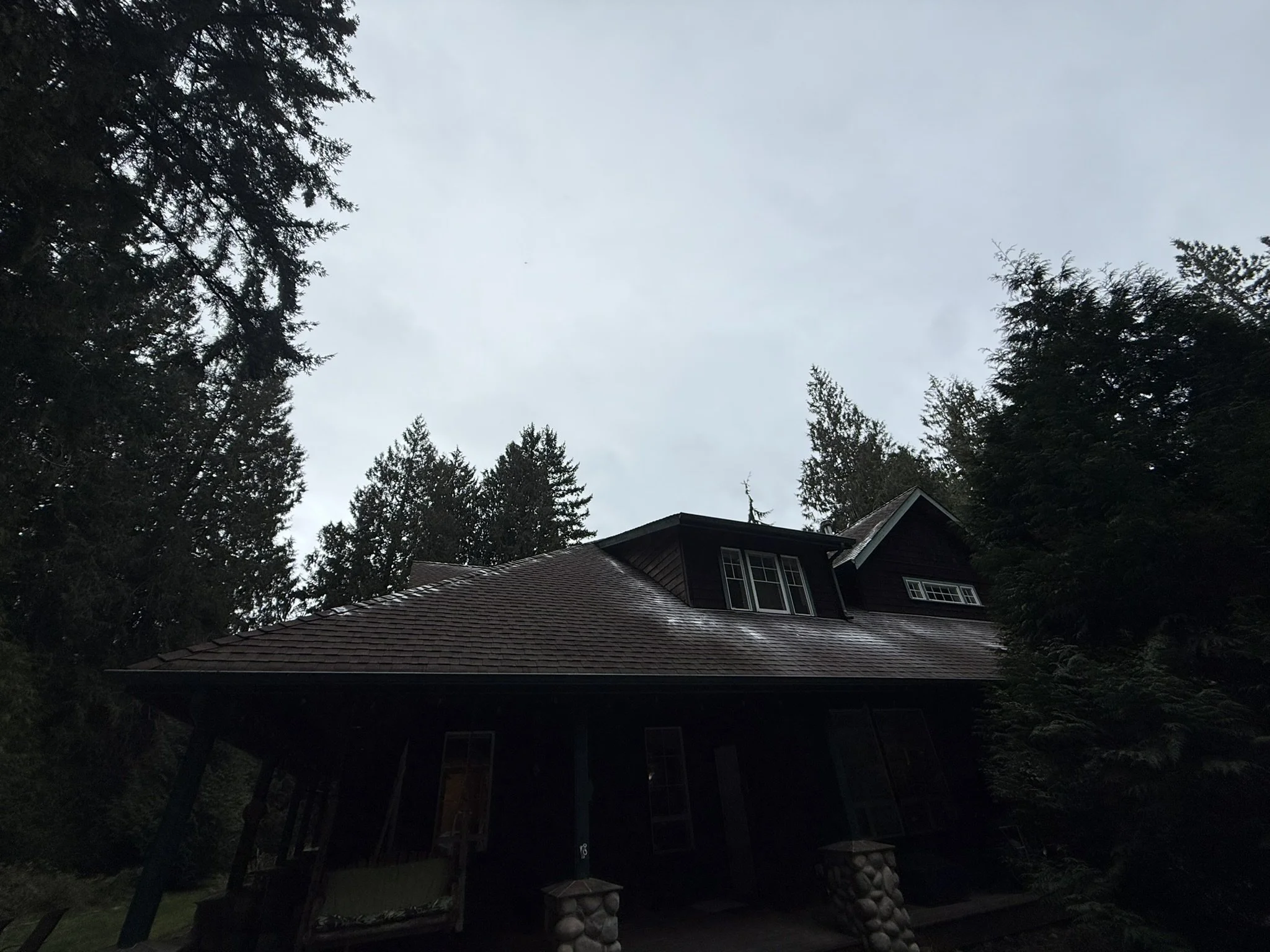 Moss Treatment Bainbridge island 