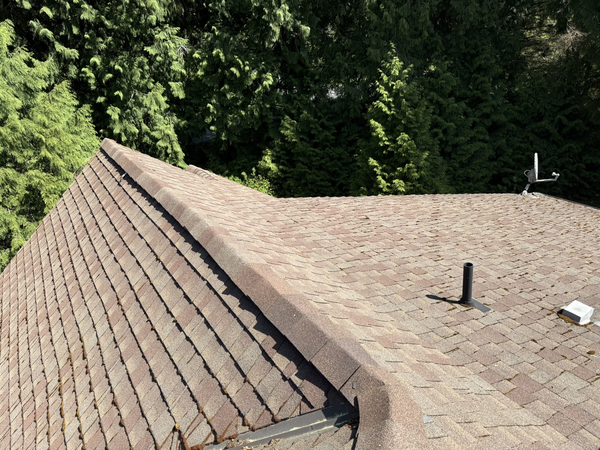 View of a house roof with asphalt shingles, a satellite dish, and a vent pipe, surrounded by green trees.