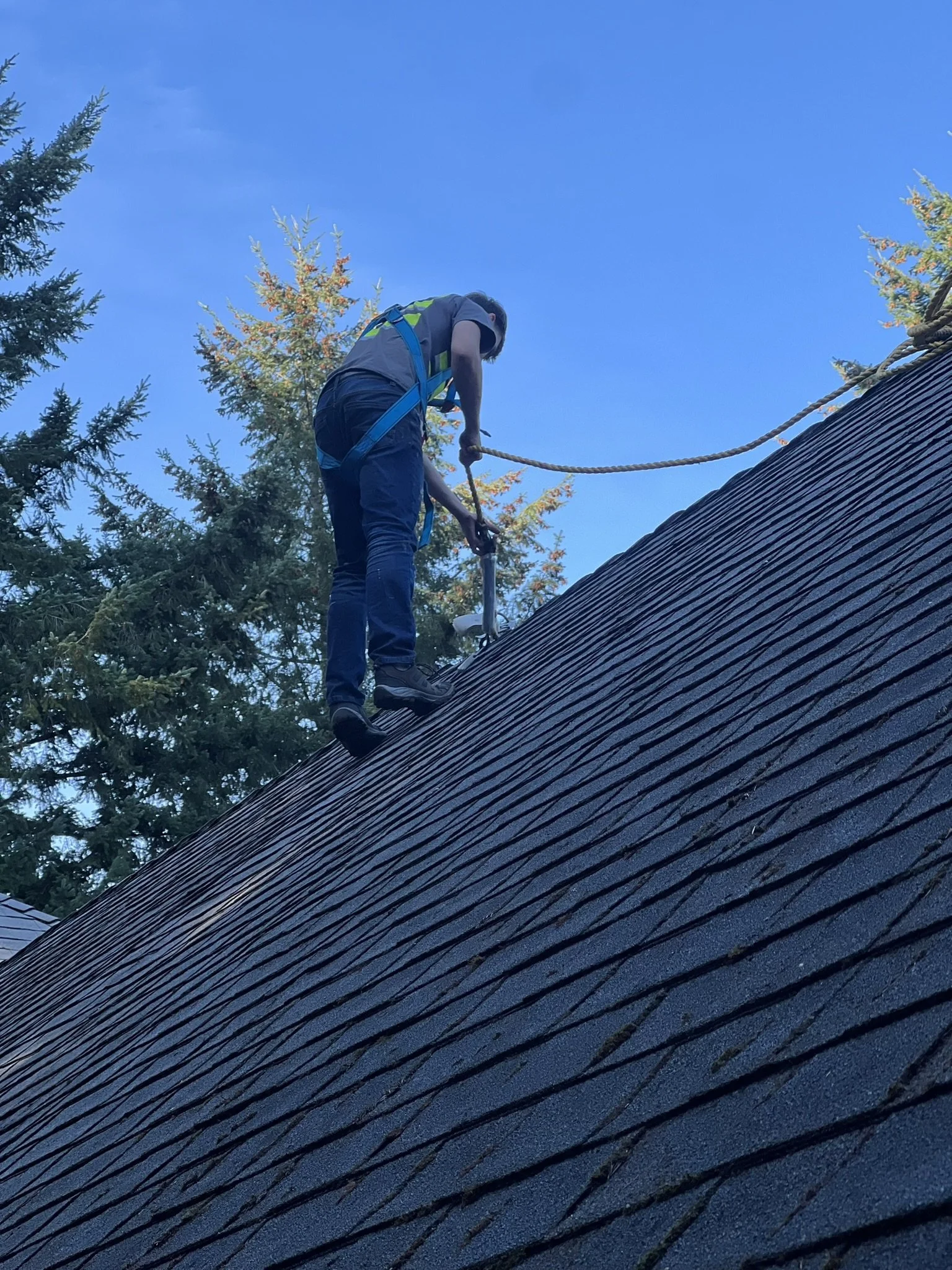 A person on a roof performing maintenance or repair work, wearing safety harness, with trees and blue sky in the background.