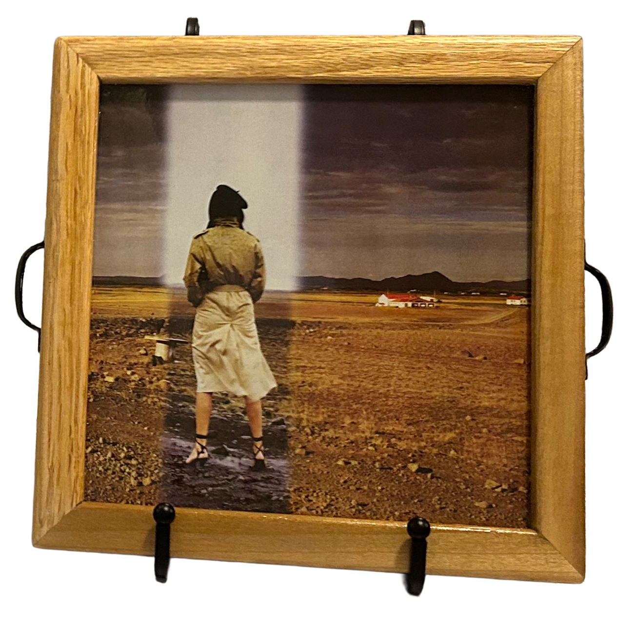 human sexual response bottom.png