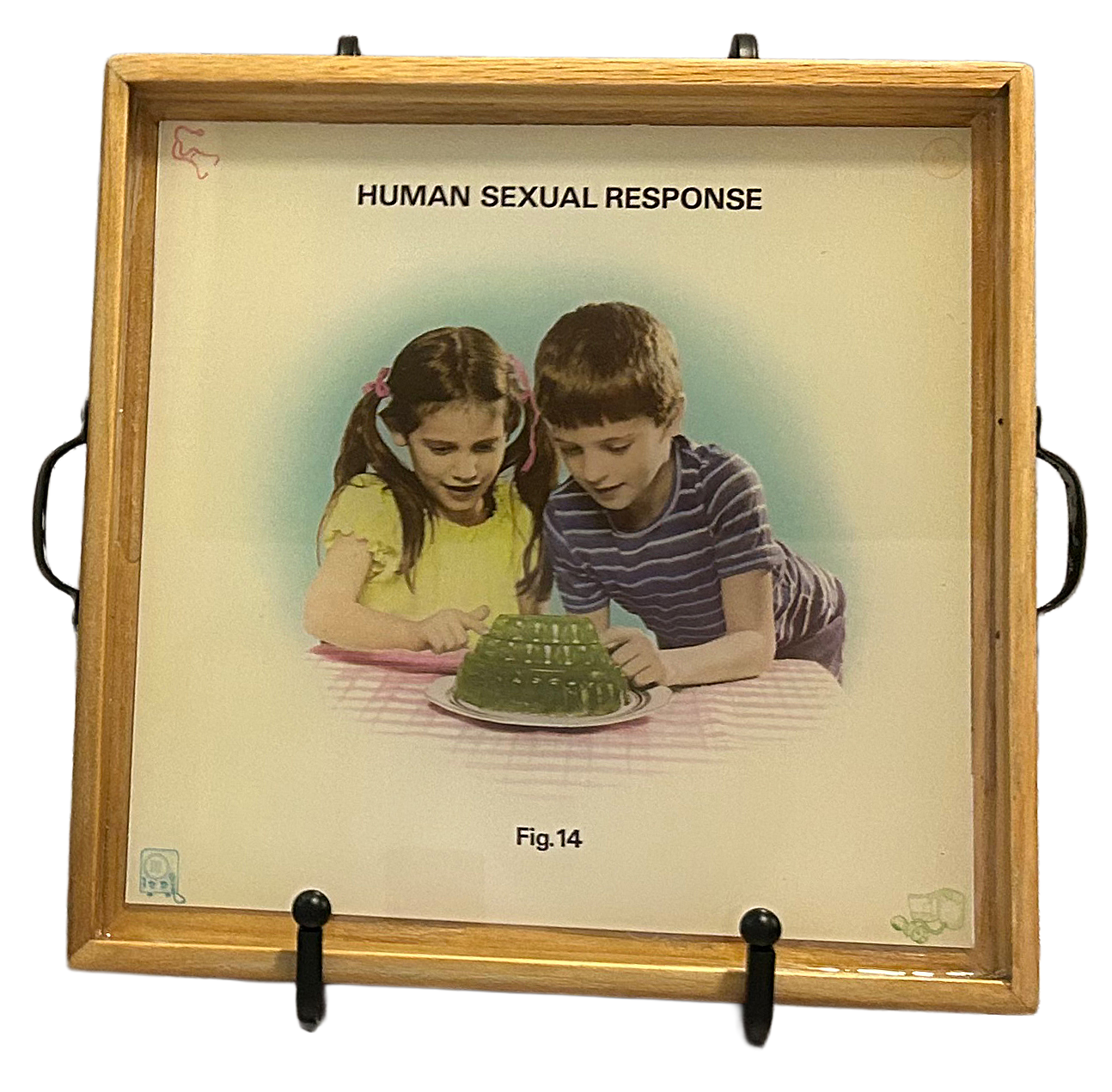 Human Sexual Response Tray