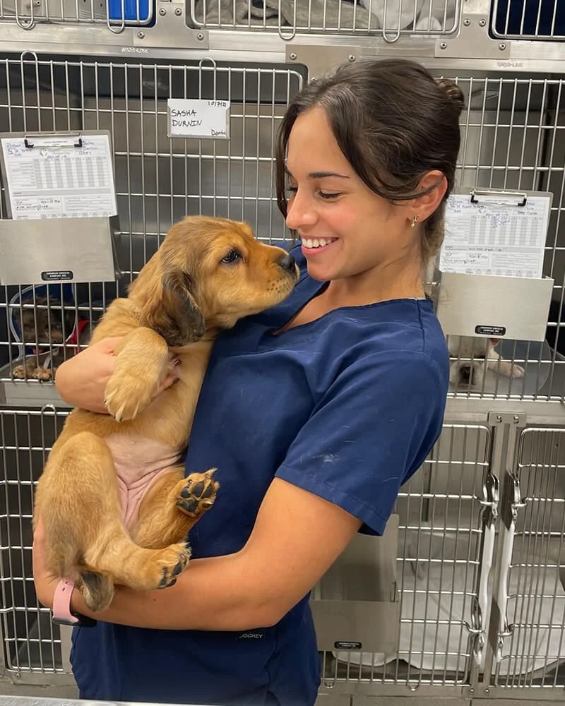 Veterinary Basics & Animal Care Class