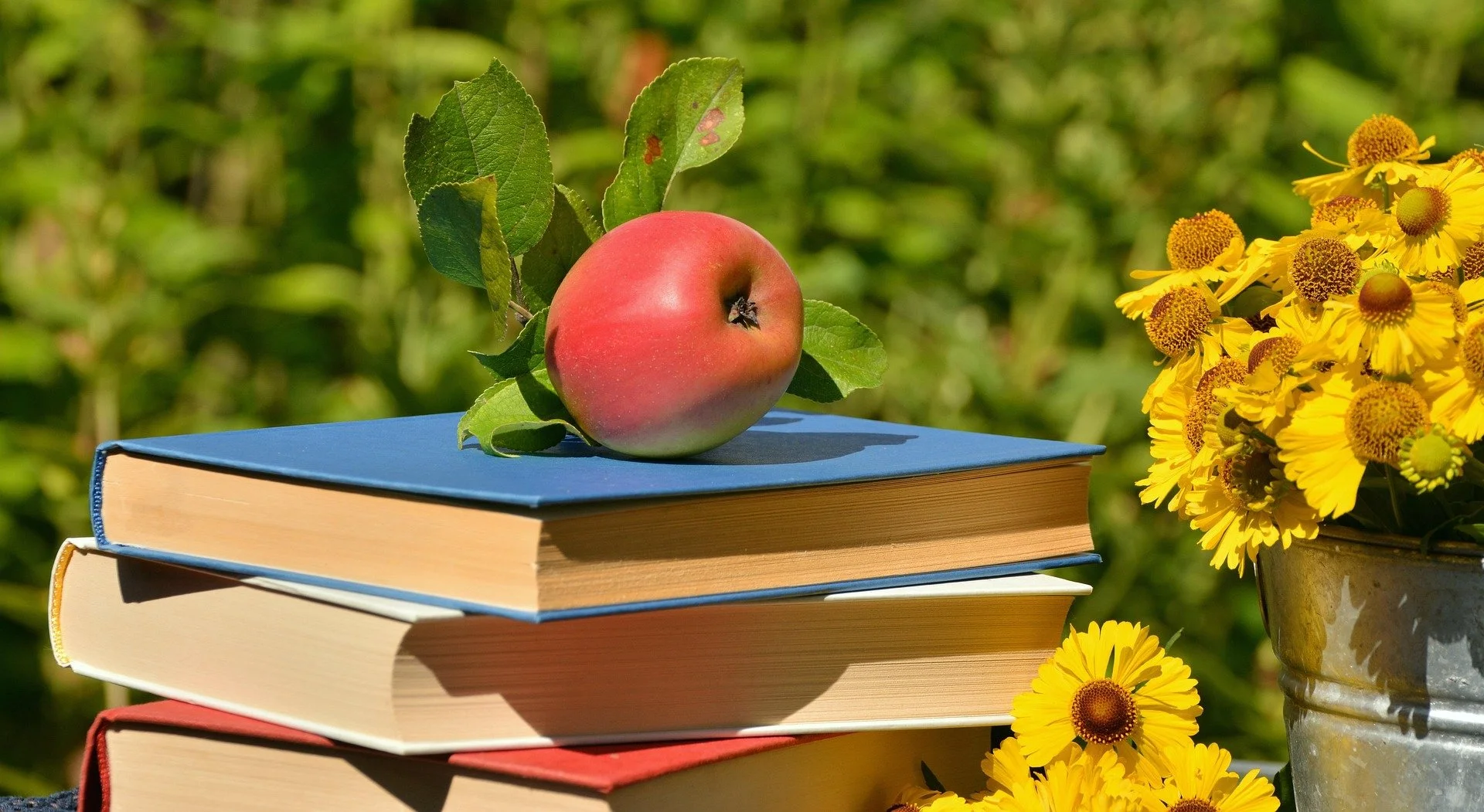 “A Message to all the Incredible Teachers Wrapping Up Another School Year and Preparing for a Well-Deserved Summer Break”