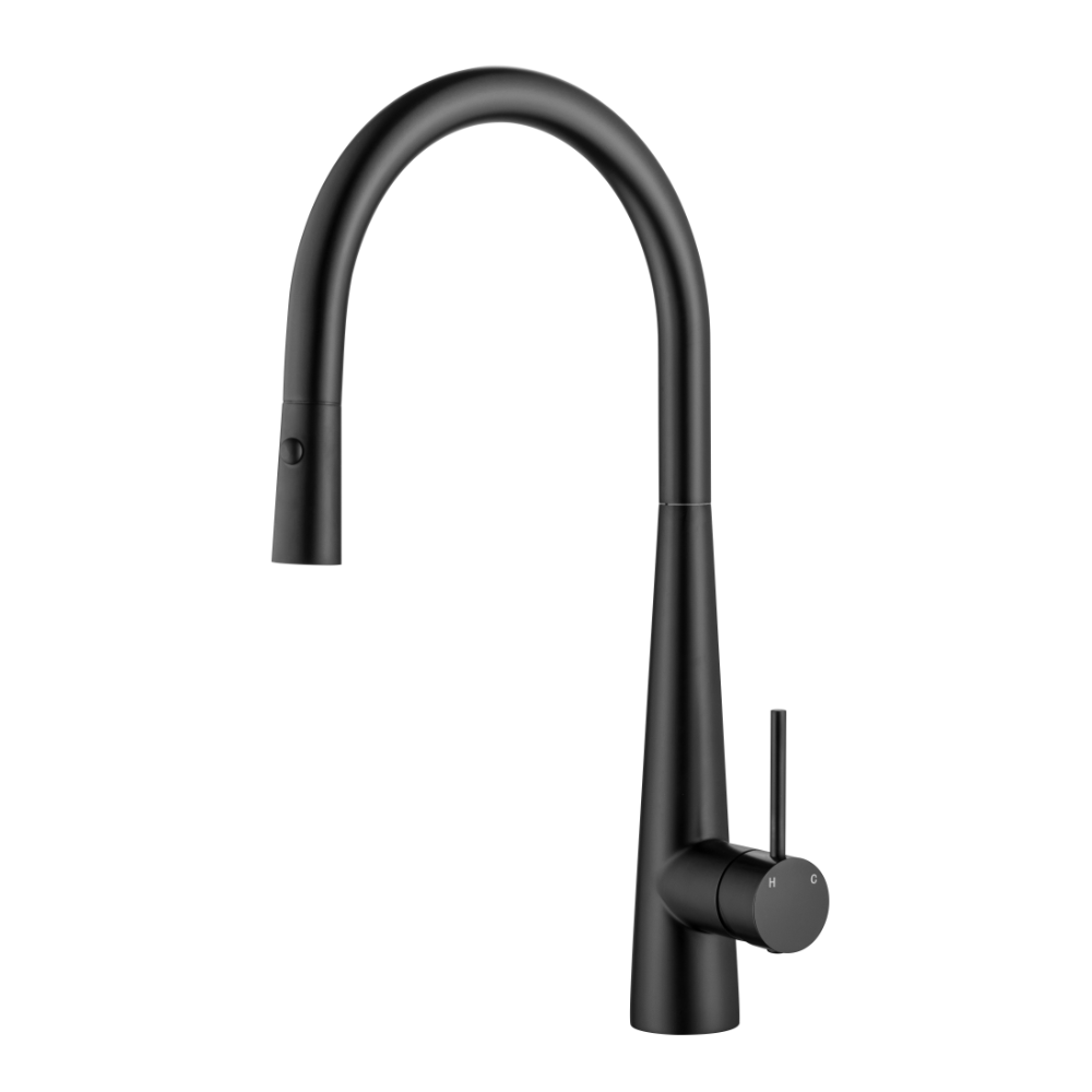 Arraso Pull Out Sink Mixer Black.png