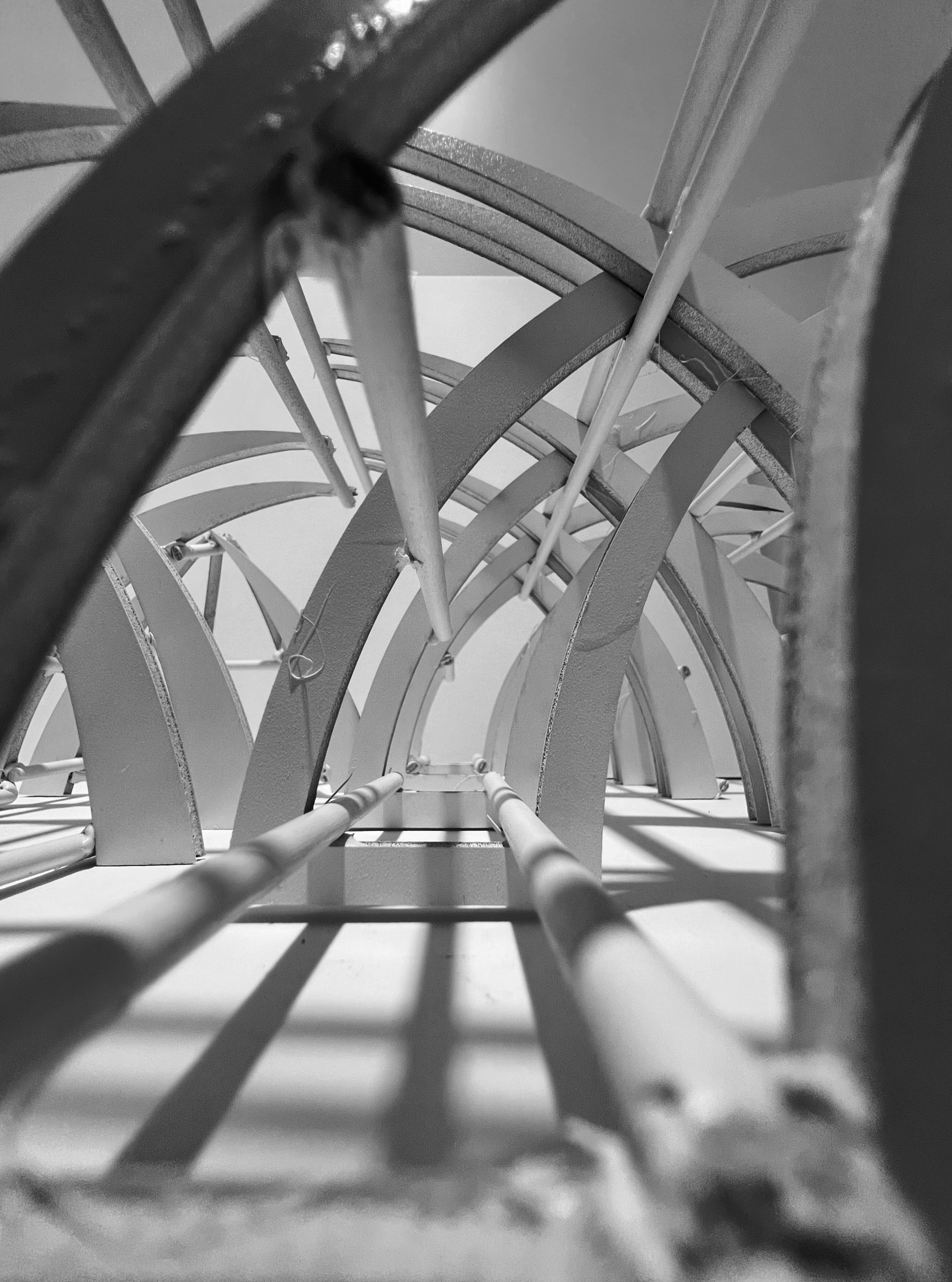 “In-Transit V” Photography, 8”x10”