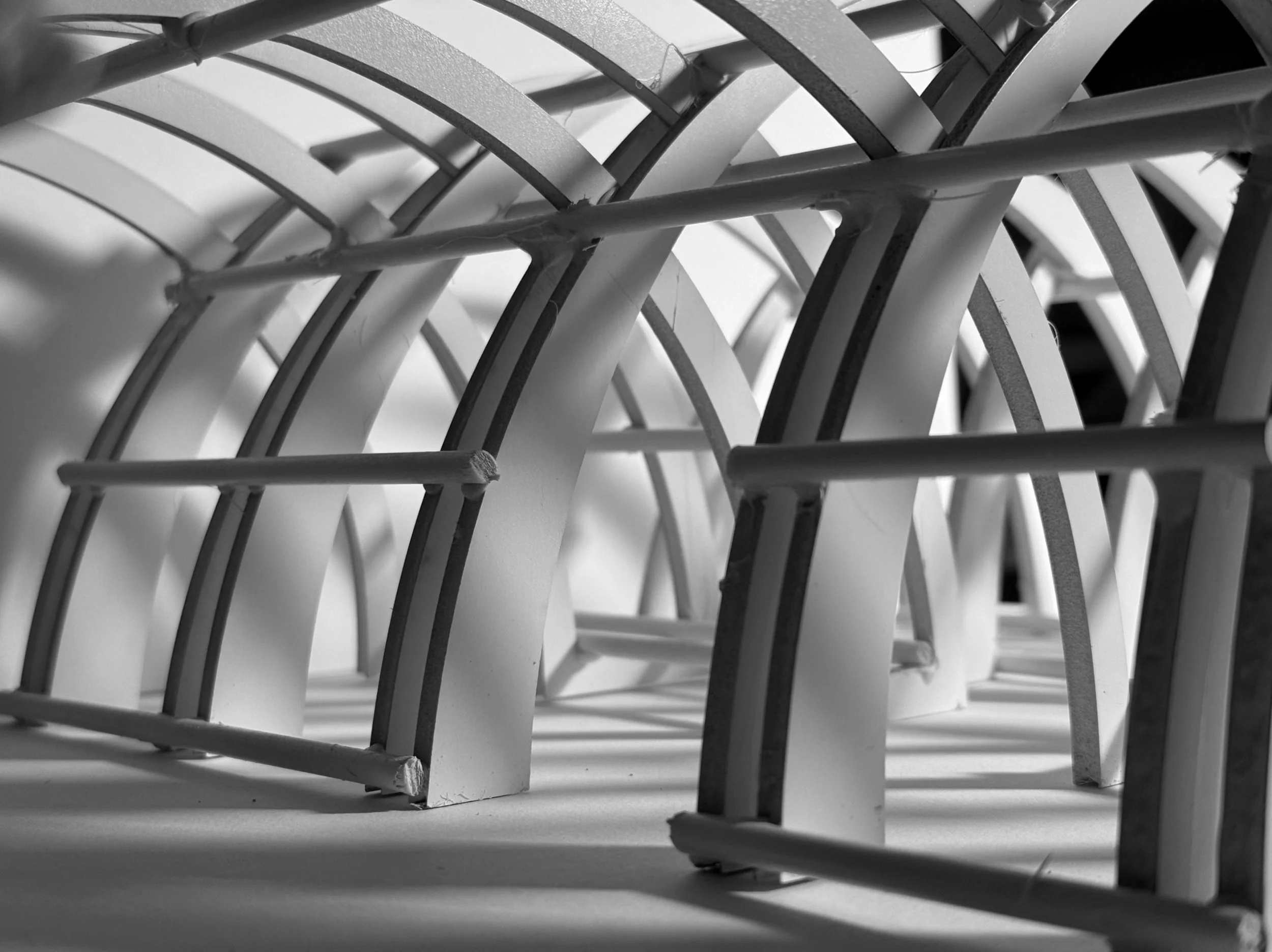 “In-Transit I” Photography, 8”x10”