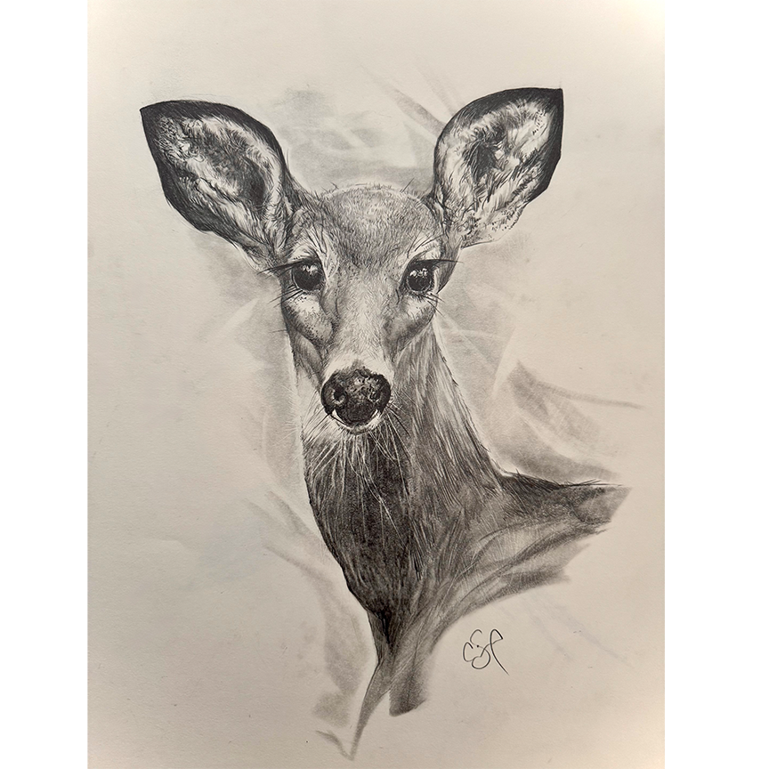 Deer-Carson-Samson.png