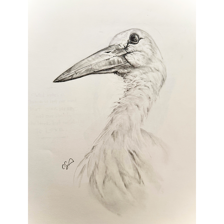 Stork-Carson-Samson.png
