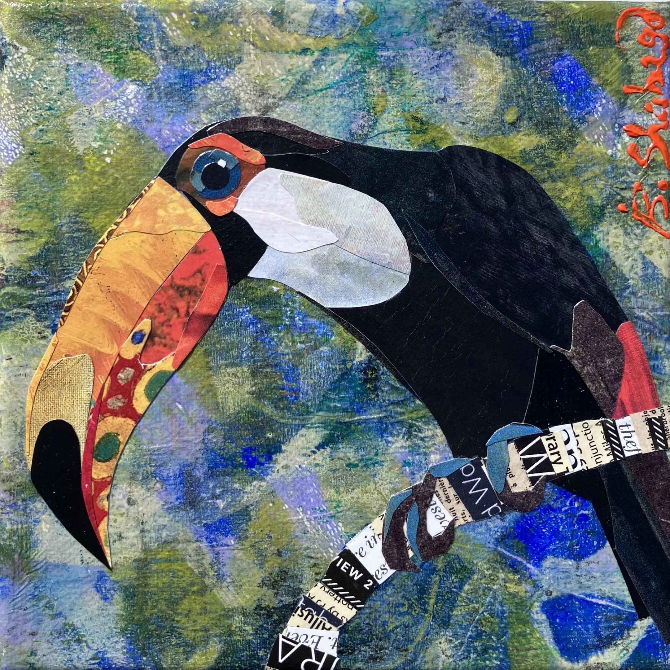 Toucan Brandi Shabaga.jpg