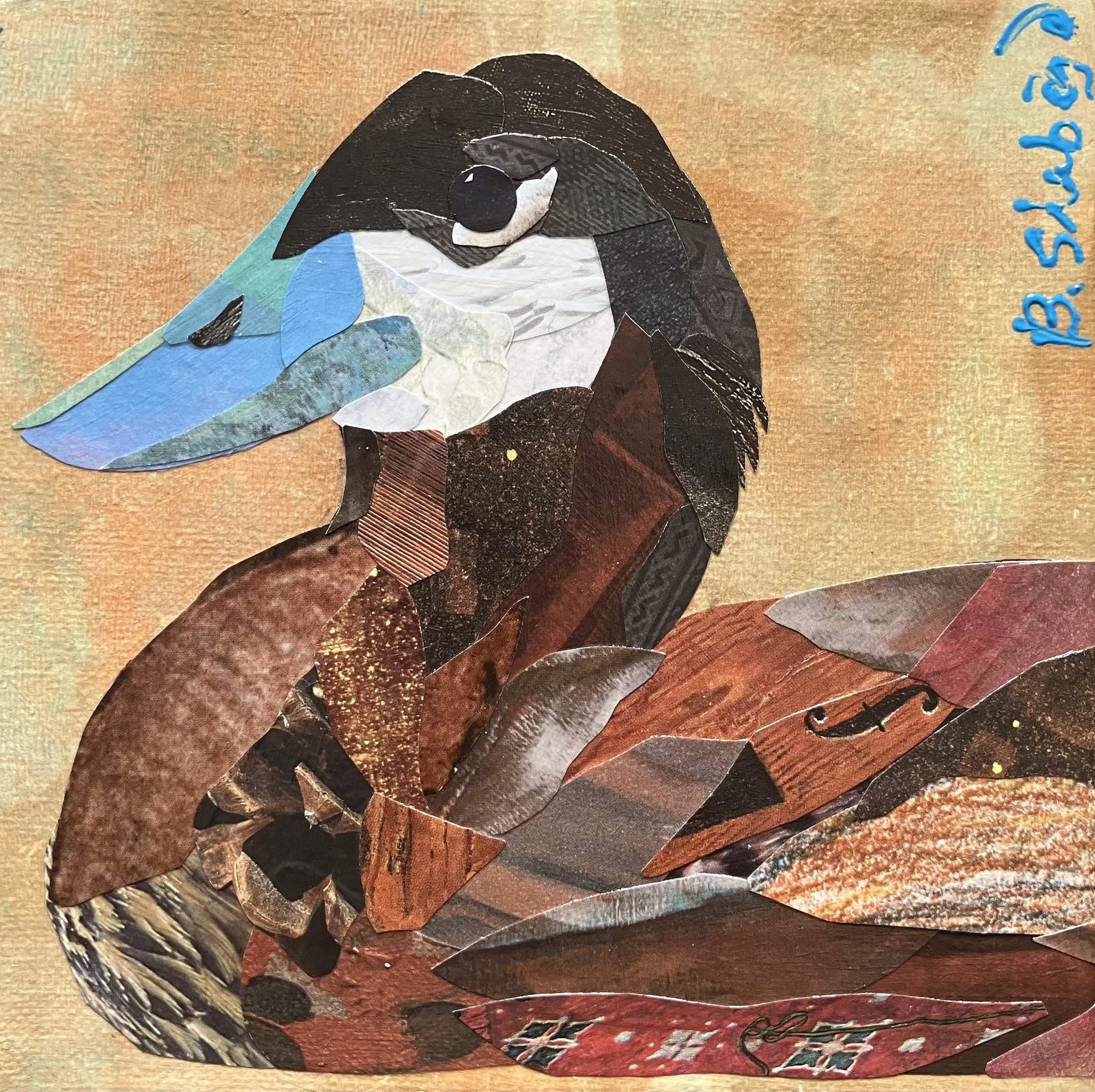 Brandi Shabaga_Ruddy Duck.jpg