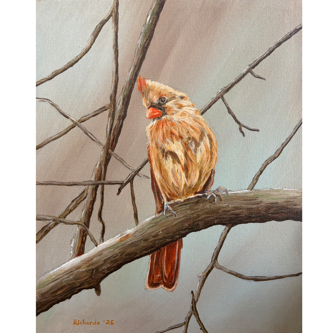 JaceRCardinal.png