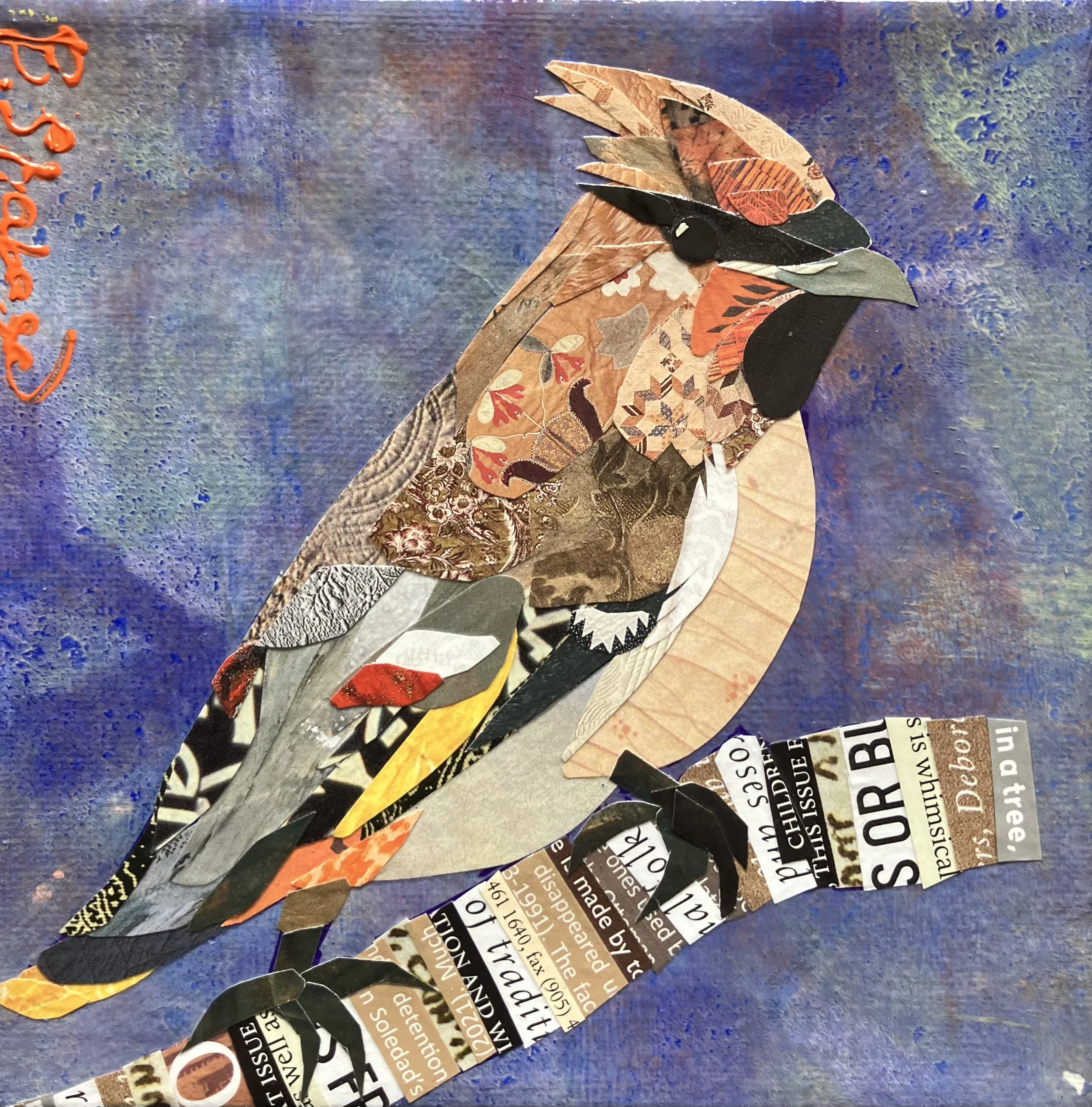 Brandi Shabaga_Bohemian Waxwing.jpg