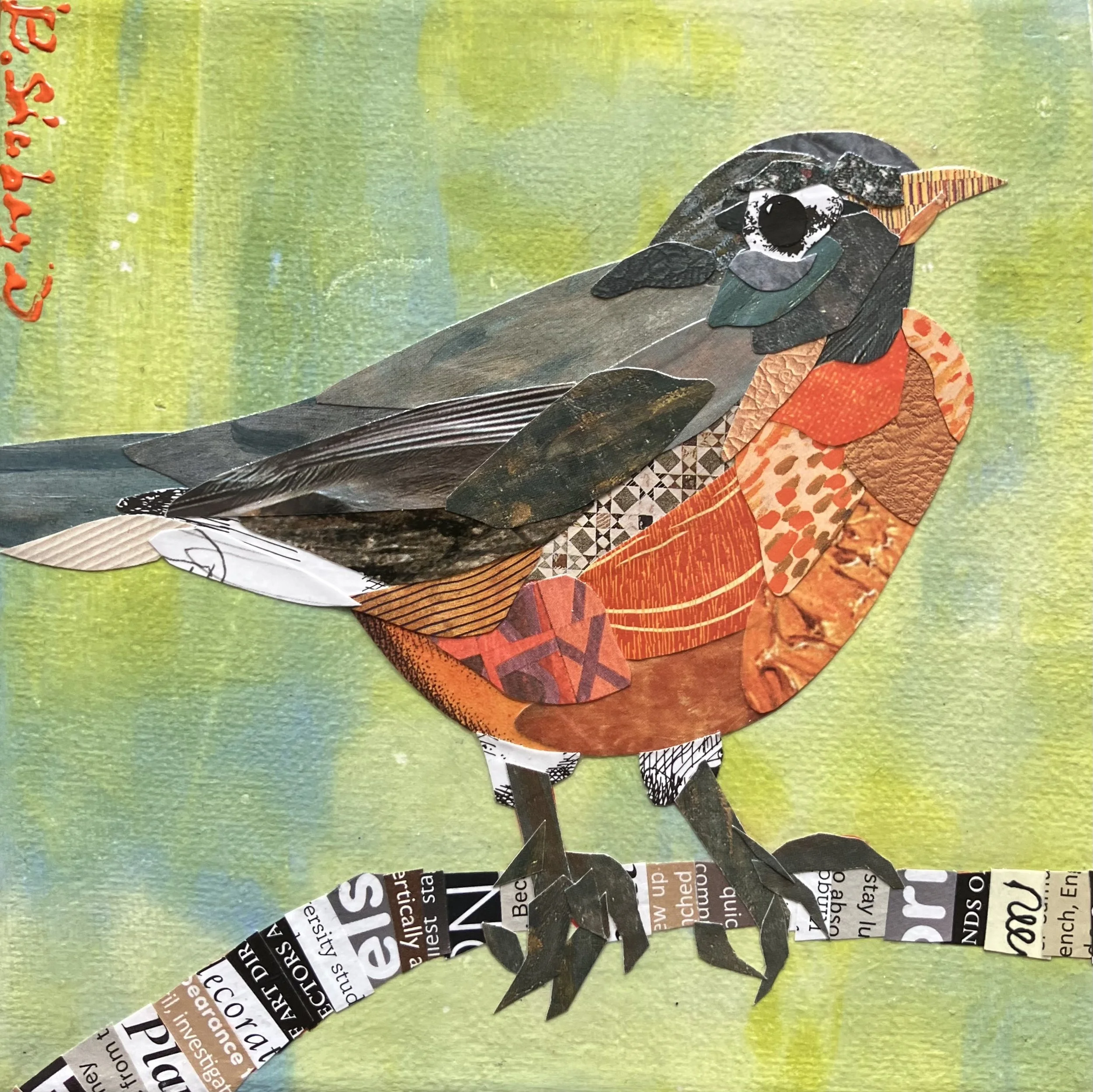Brandi Shabaga_American Robin.jpg
