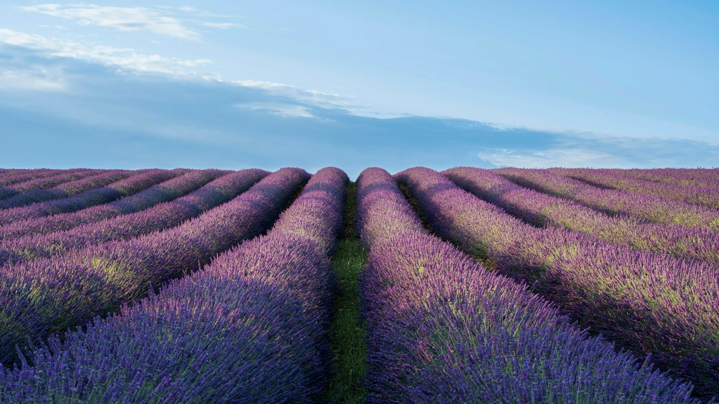 counsellor in Victoria