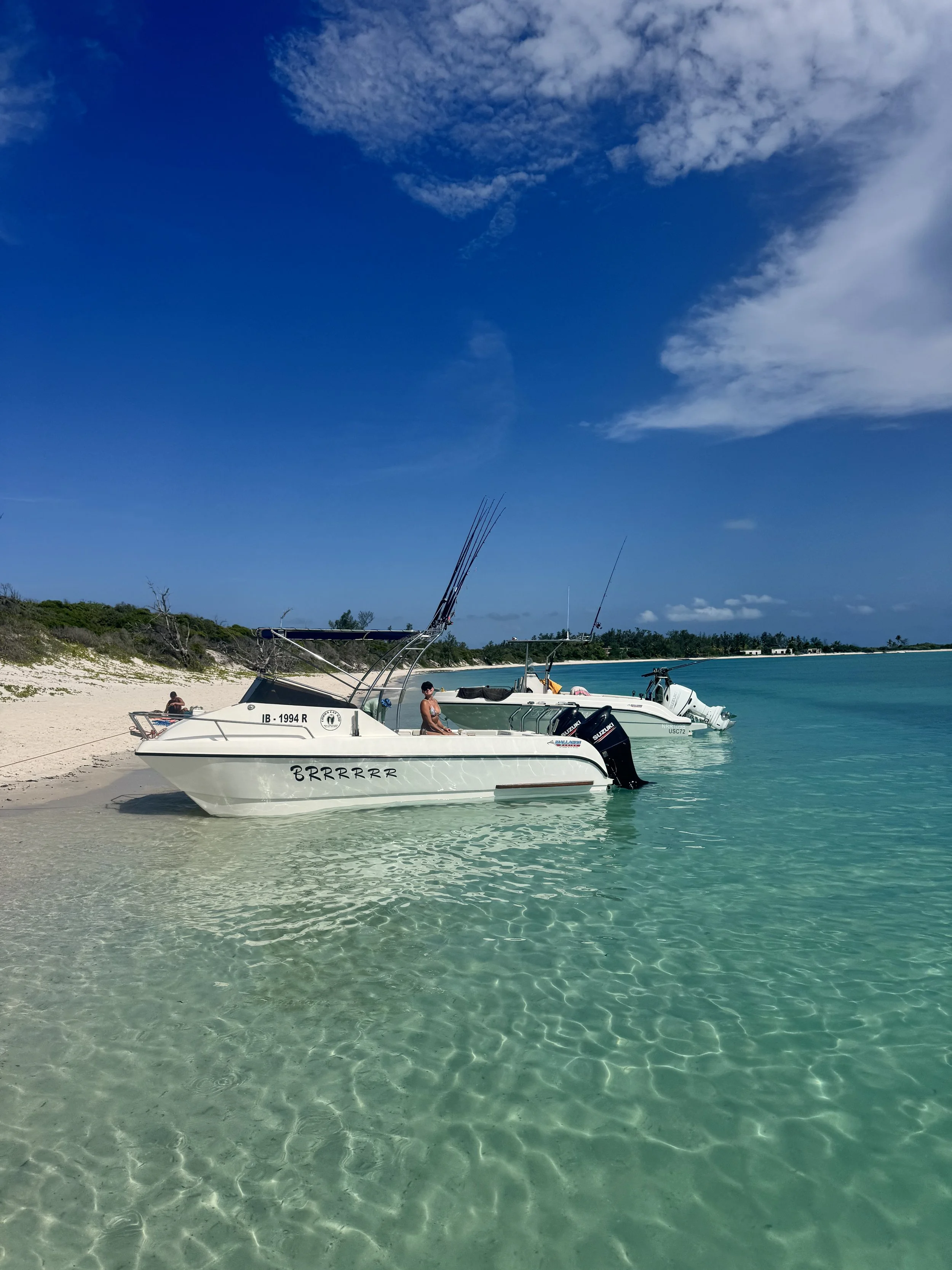 Cobra cat brrr beached 2.jpeg