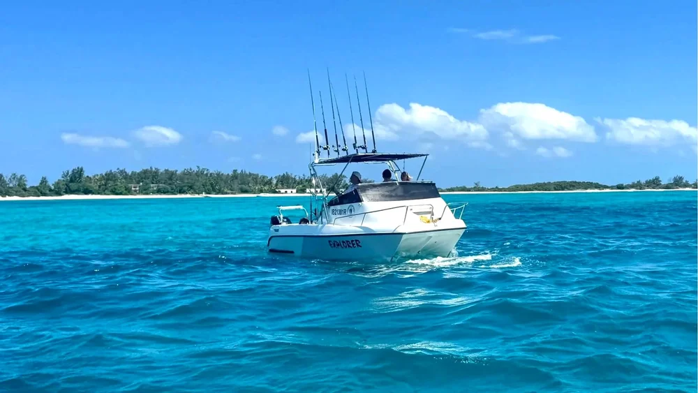 Cobar Cat Mallards Marine Cobra Cat 630 - South Africa's Leading Boat Builder