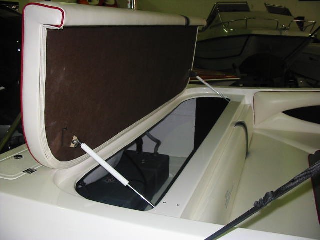 Classic 210 Verado (7).jpg