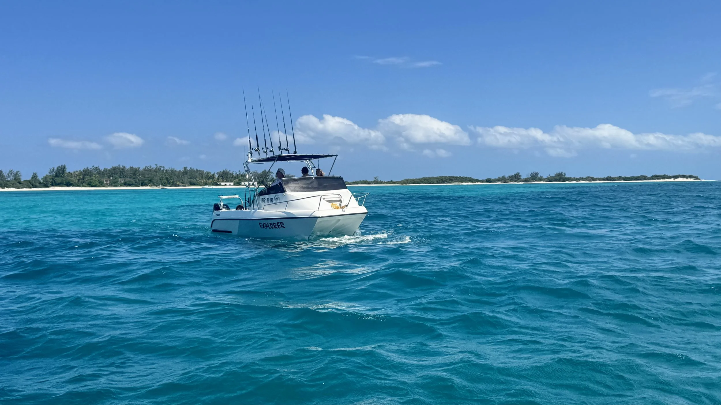 Cobra cat paraidse landscape.jpeg