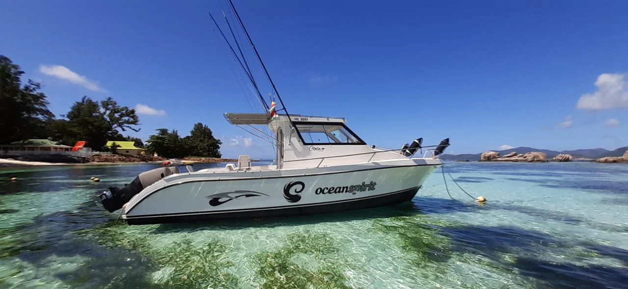 A white motorboat floating on clear greenish water near a shoreline with trees and a sandy beach under a bright blue sky.