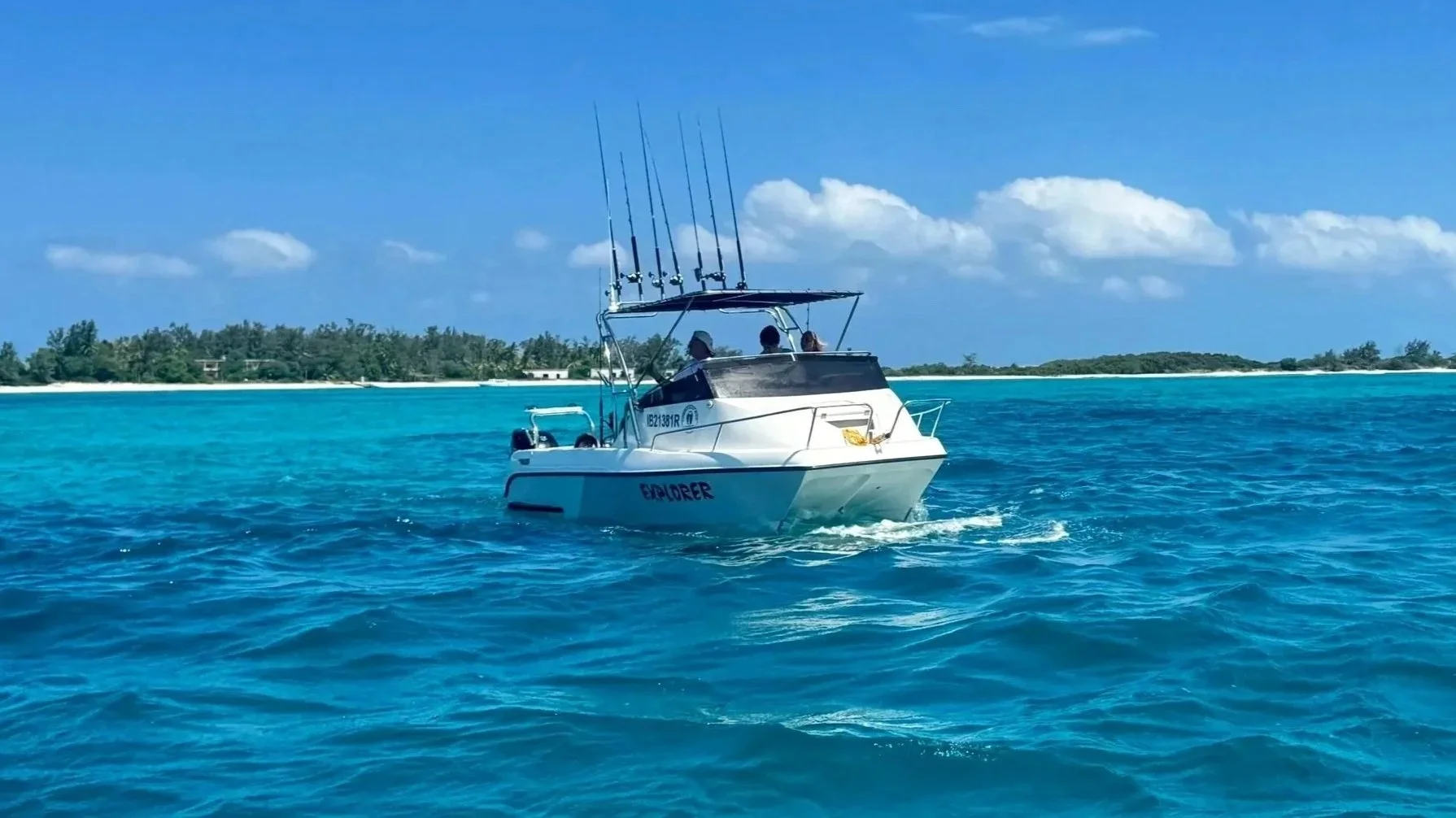 Cobra cat paraidse landscape.jpg