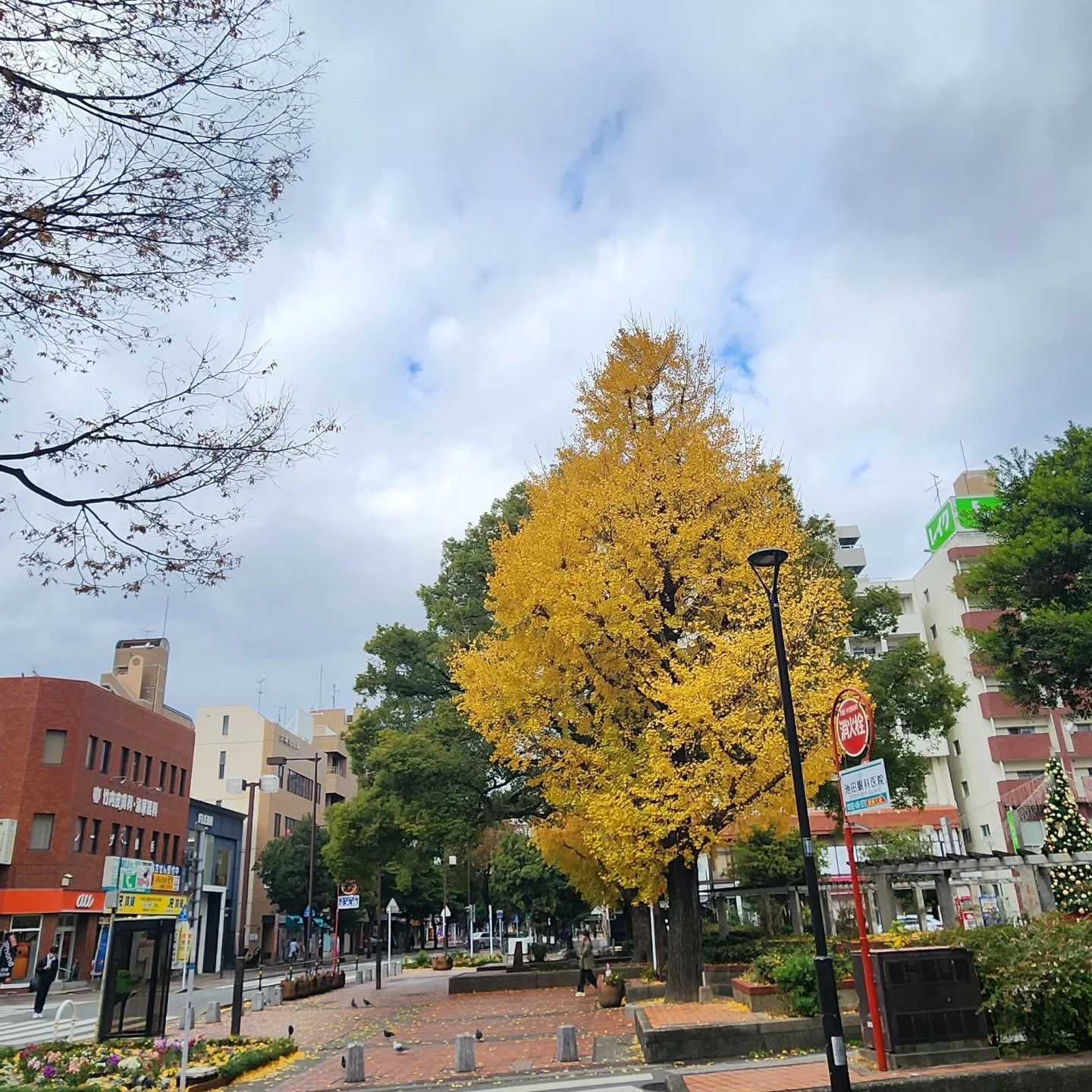 This is December I guess