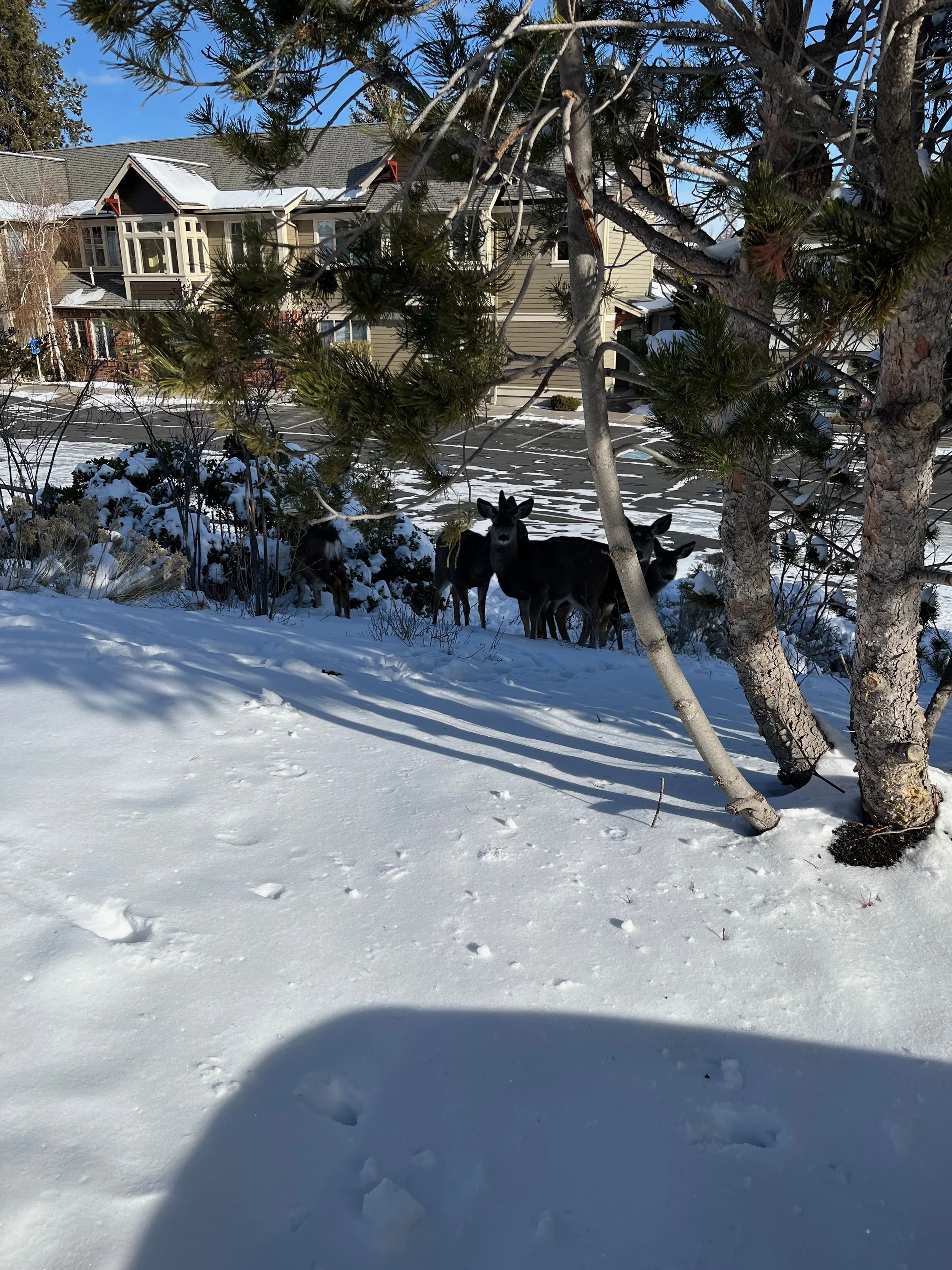 The Accidental Joy of Doing Nothing