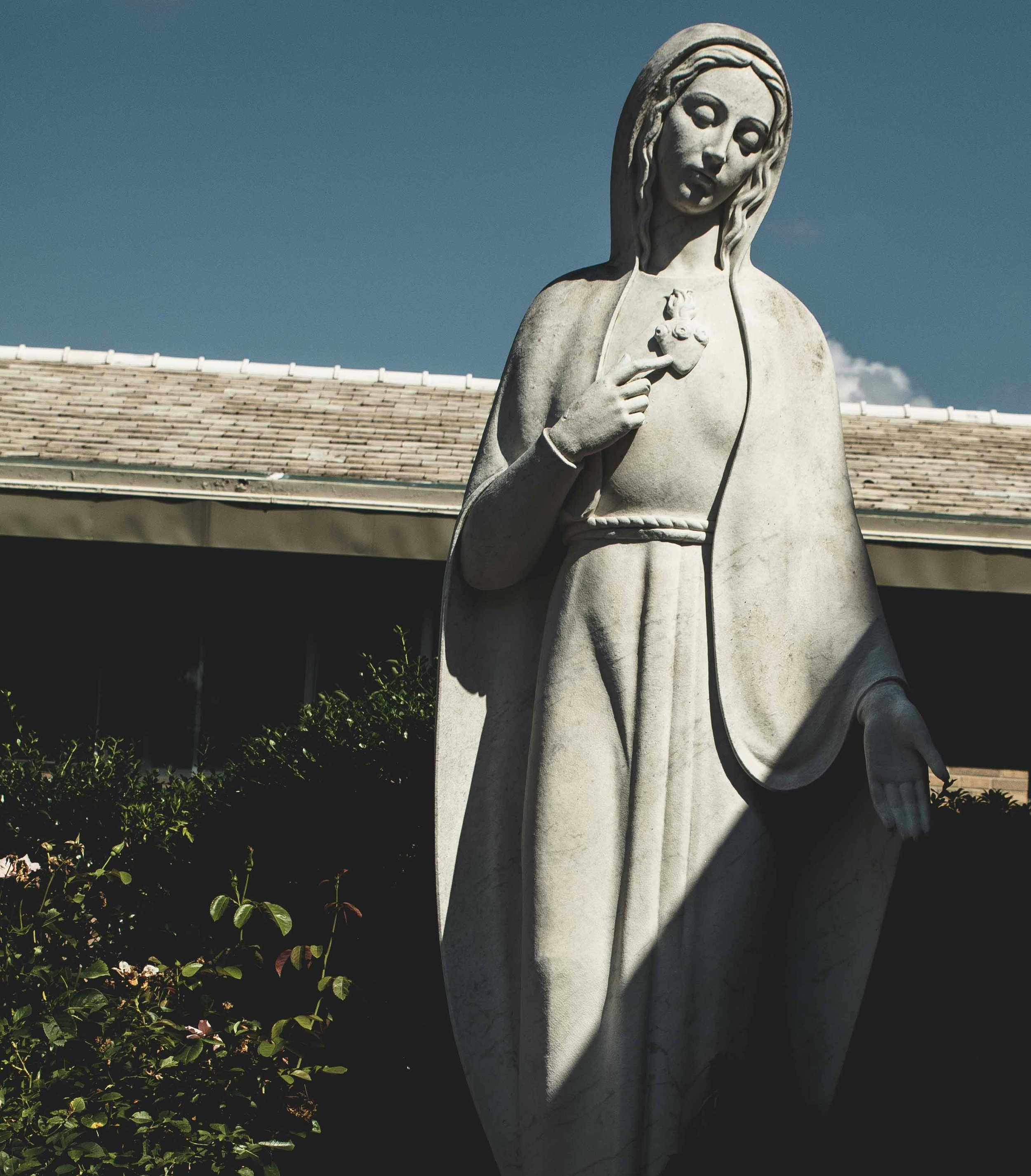 Immaculate Heart of Mary
