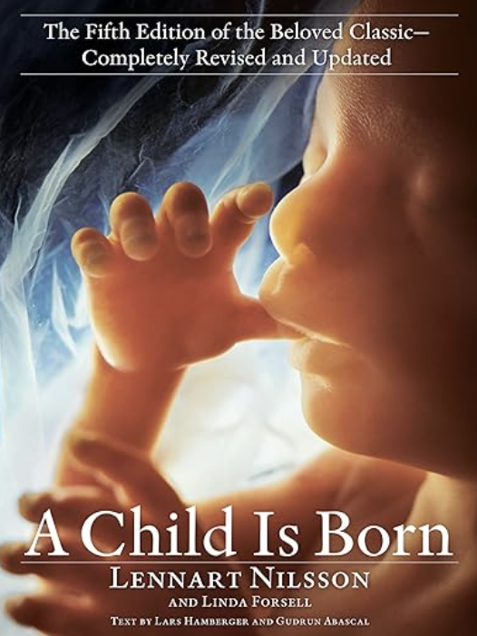 A Child Is Born