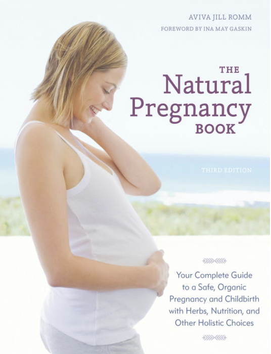 The Natural Pregnancy Book cover