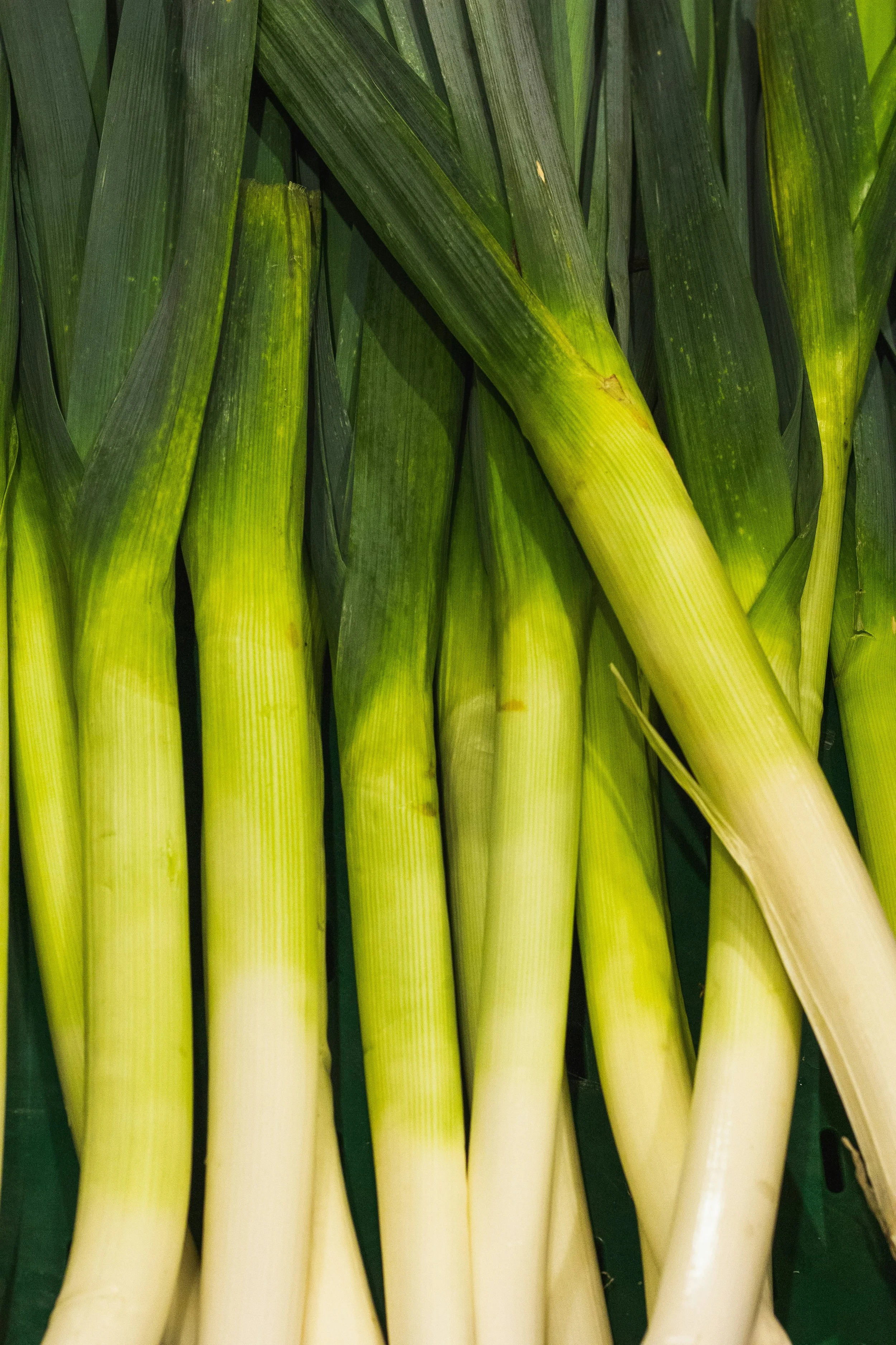 Leeks
