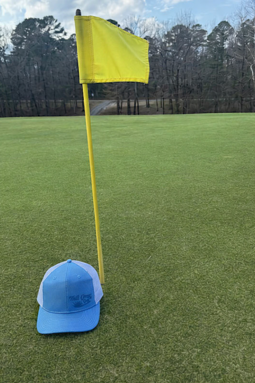 BLUE HAT ONLY.png
