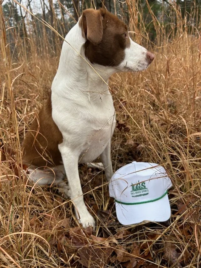 TALL GRASS SPORTS HAT