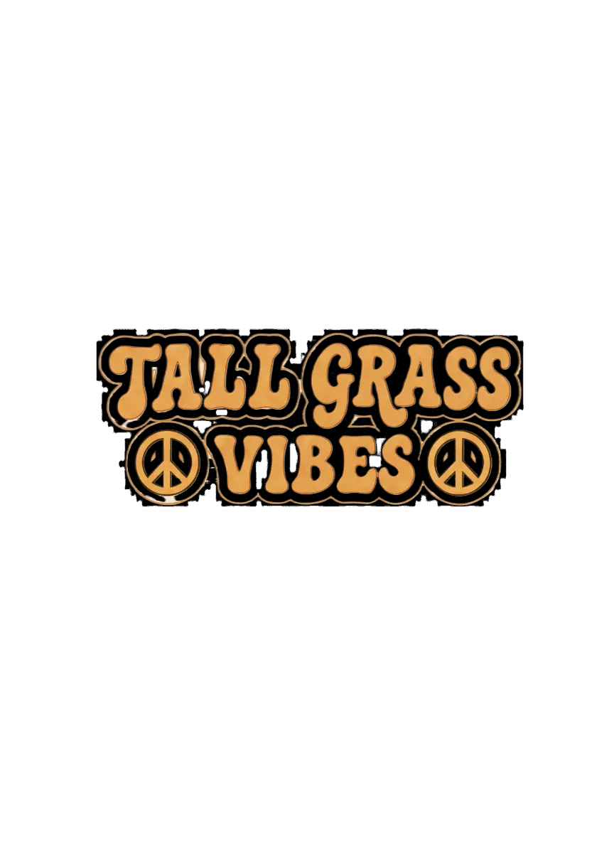 vibes front.png